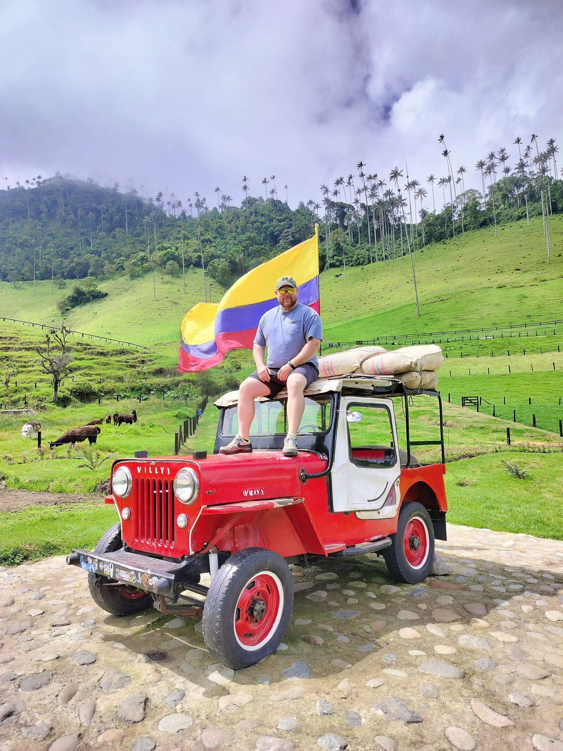 Man on a red and white jeep, holding a Colombian flag, with a green landscape backdrop.