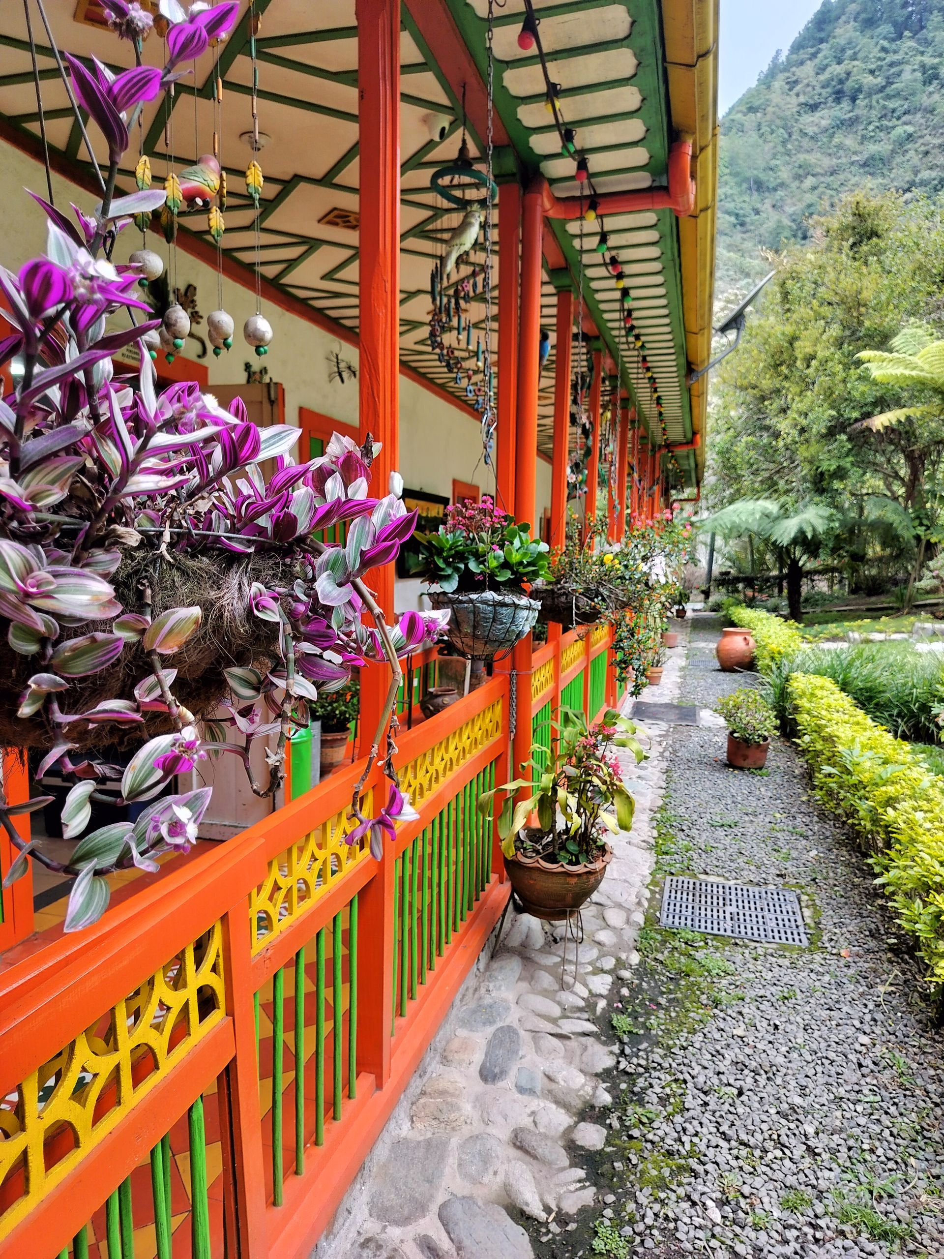 Colorful balcony with flowers and plants overlooking a stone path and garden.
