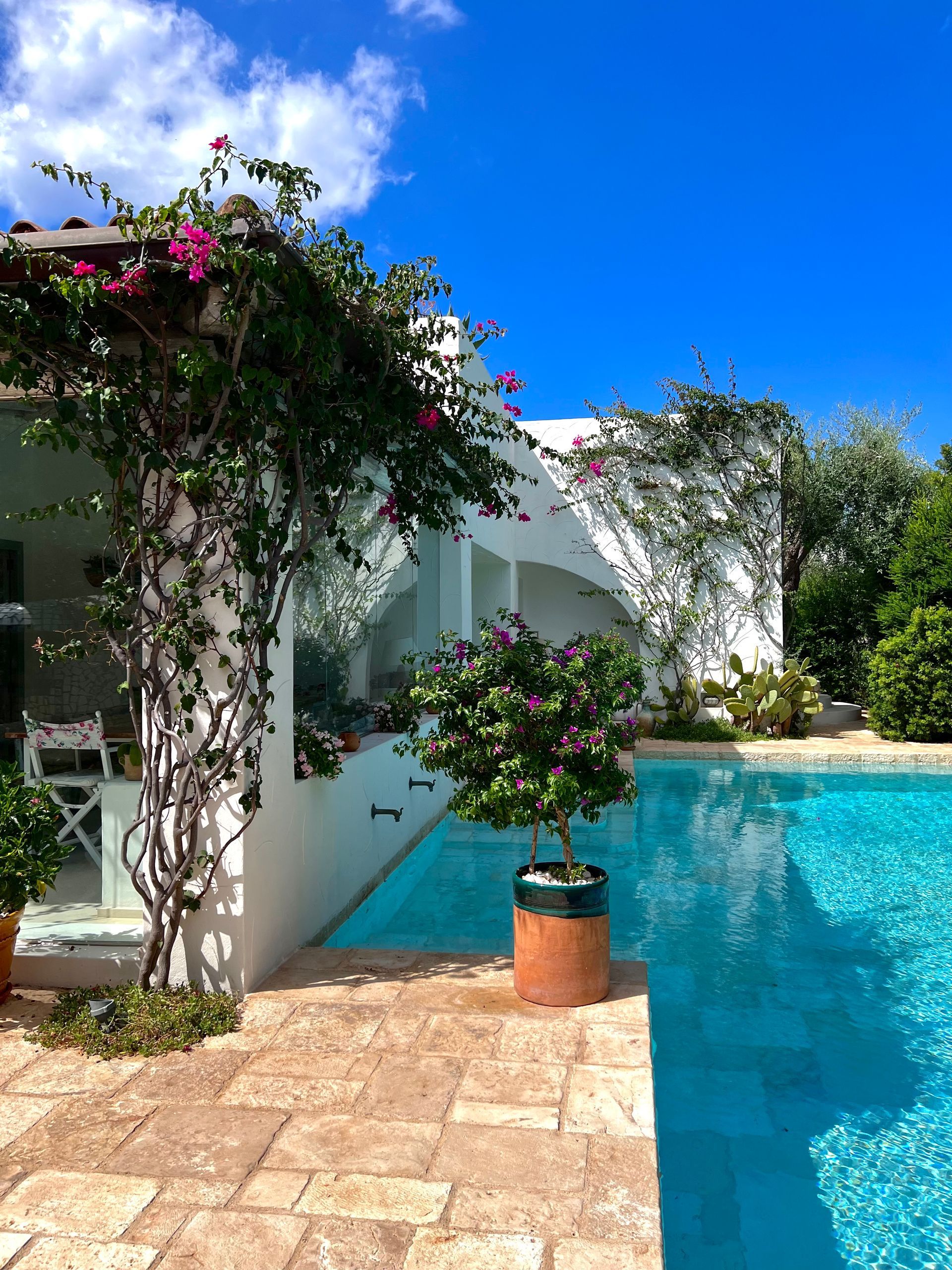 Poolside villa with bougainvillea, clear blue water, sunny day.