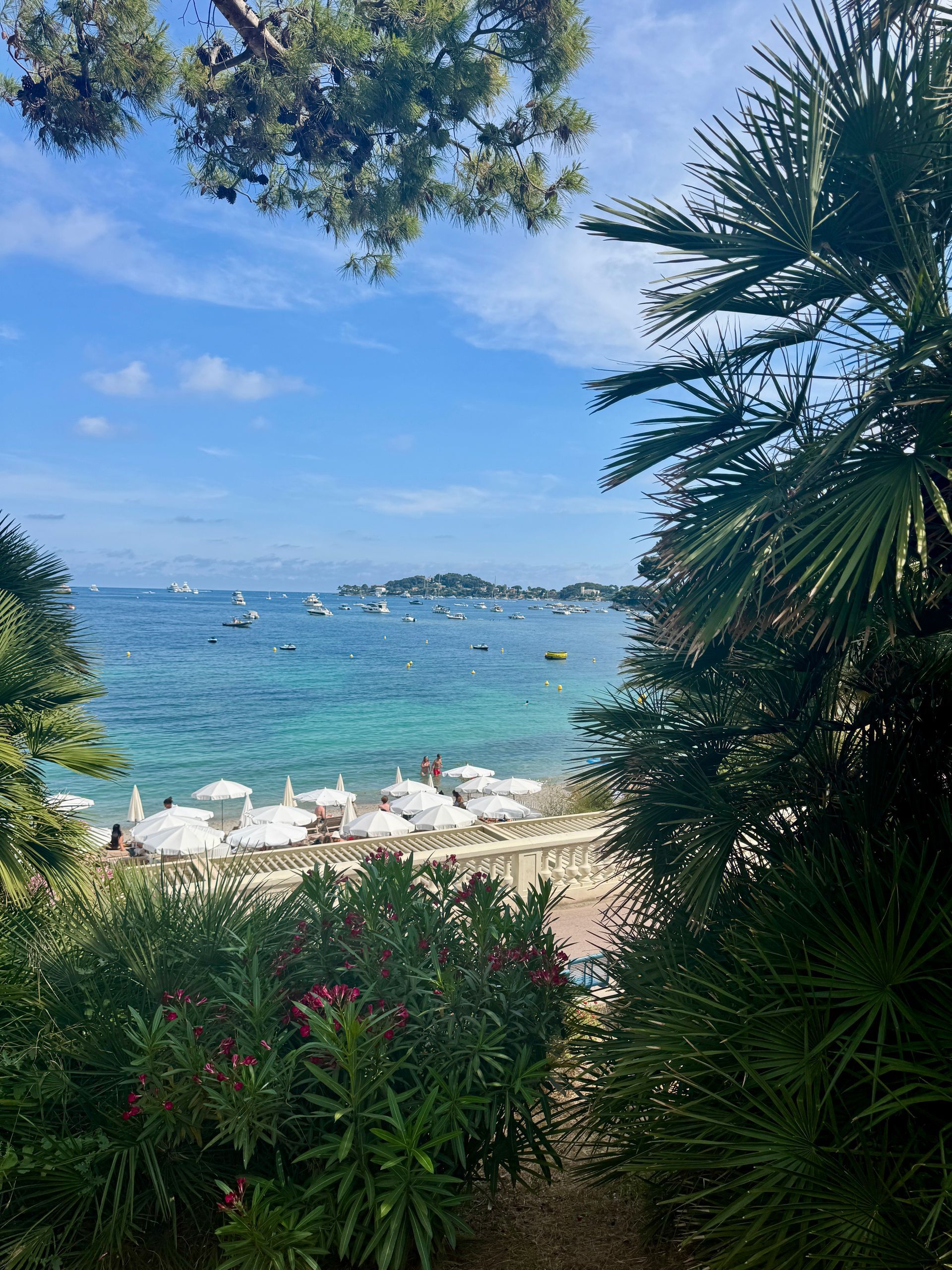 A view of a beach with umbrellas and palm trees in Saint-Jean-Cap-Ferrat, France.