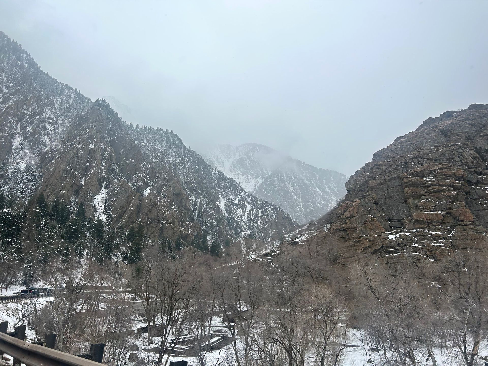Snowy mountain range with cloudy sky. Trees and snow cover the lower slopes.