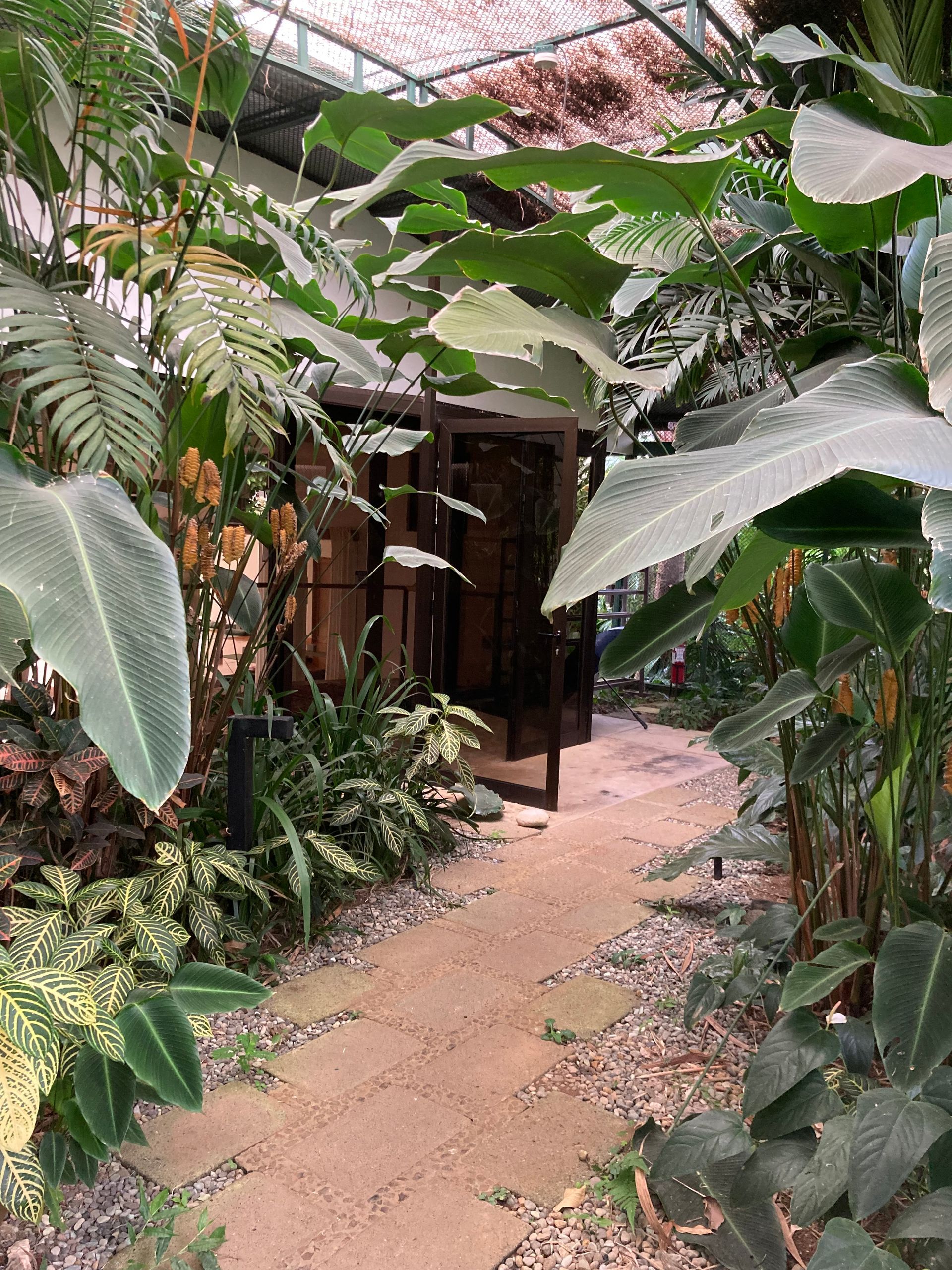 Path through lush greenery leads to a wooden doorway. Sunlight filters through the leaves.