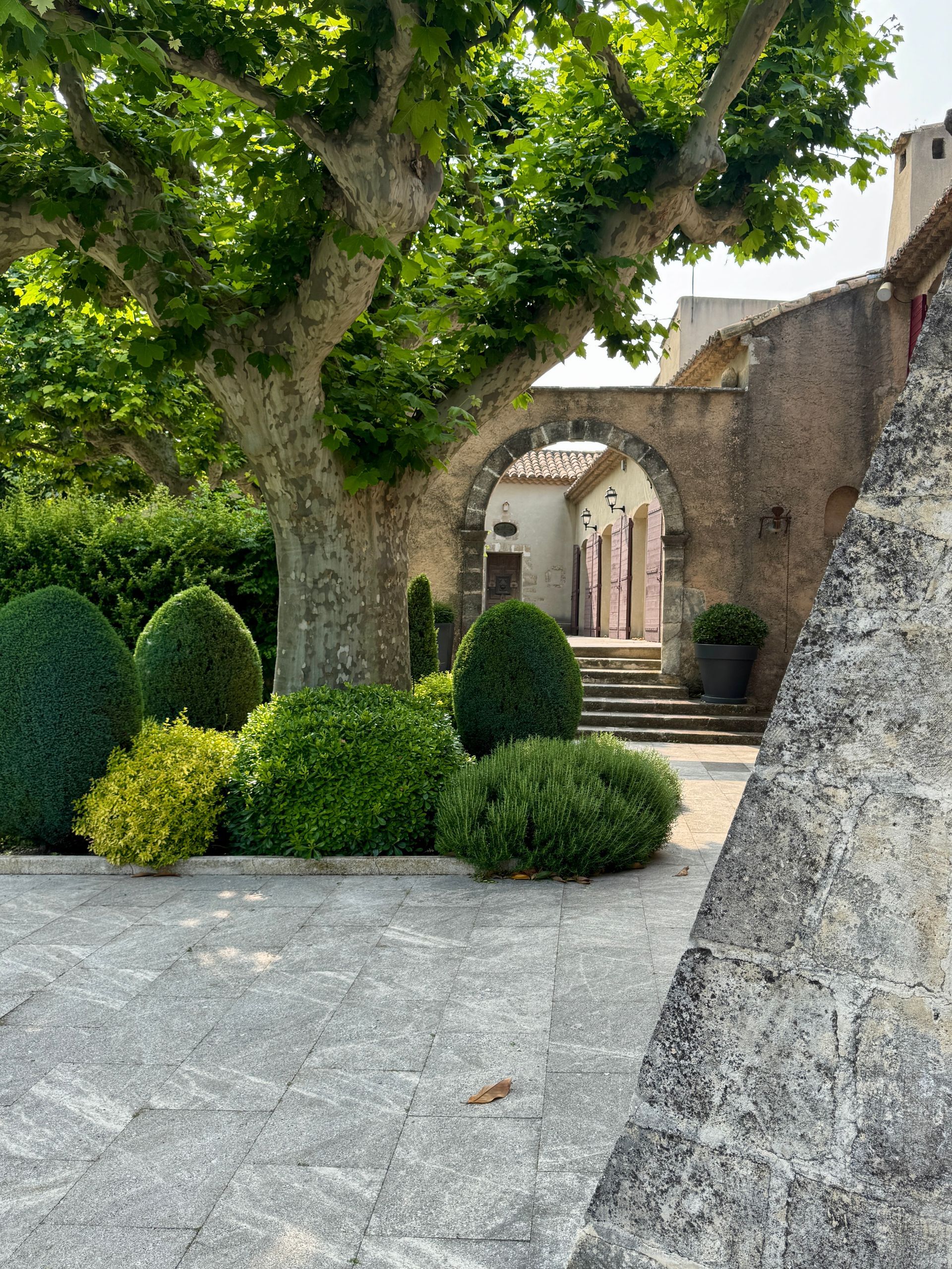 A stone wall with a tree and bushes in front of it at Domaine de la Vallongue in Luberon, France.