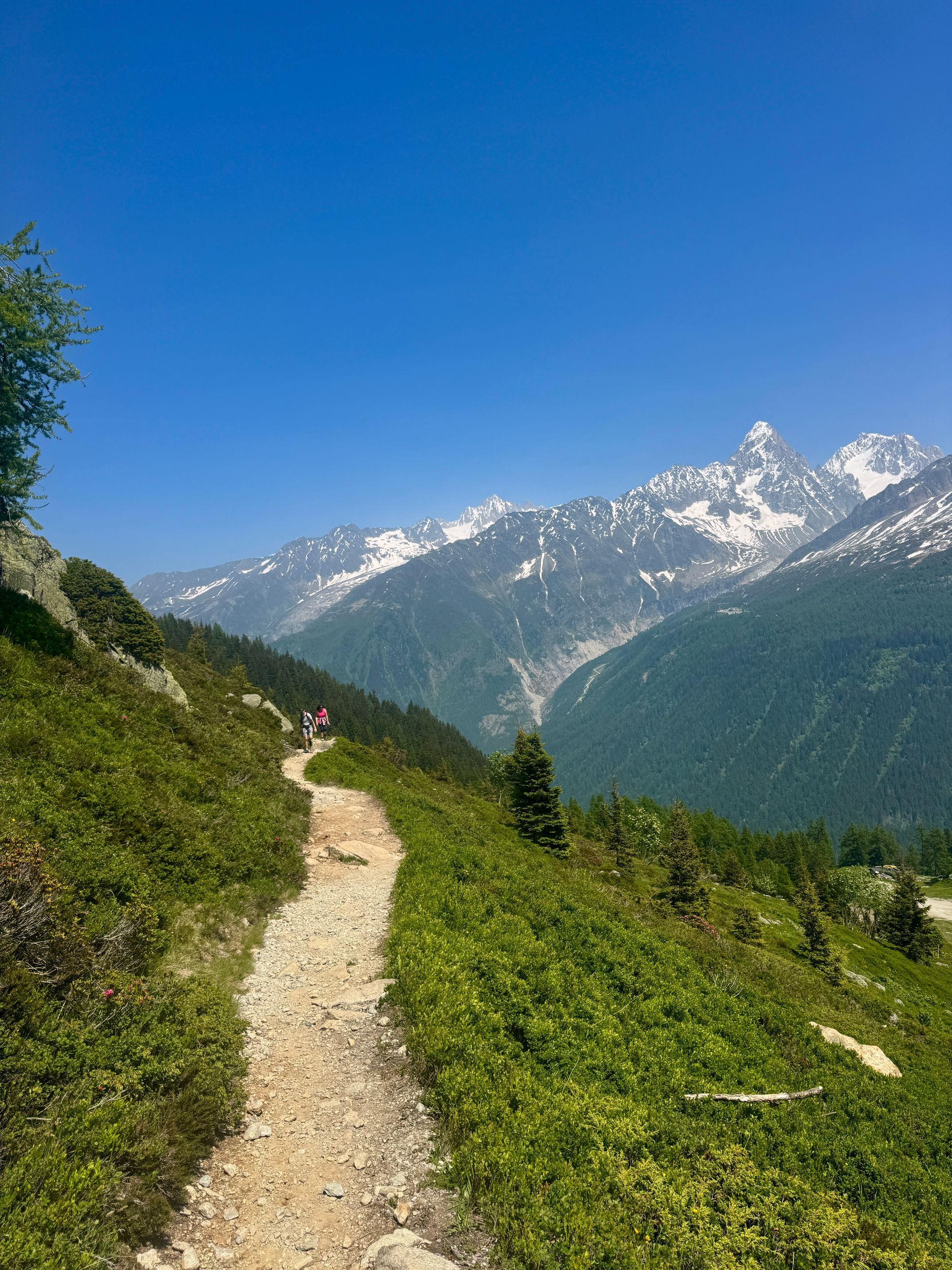 Hiking trail through green hillside, snow-capped mountains in background on a sunny day.