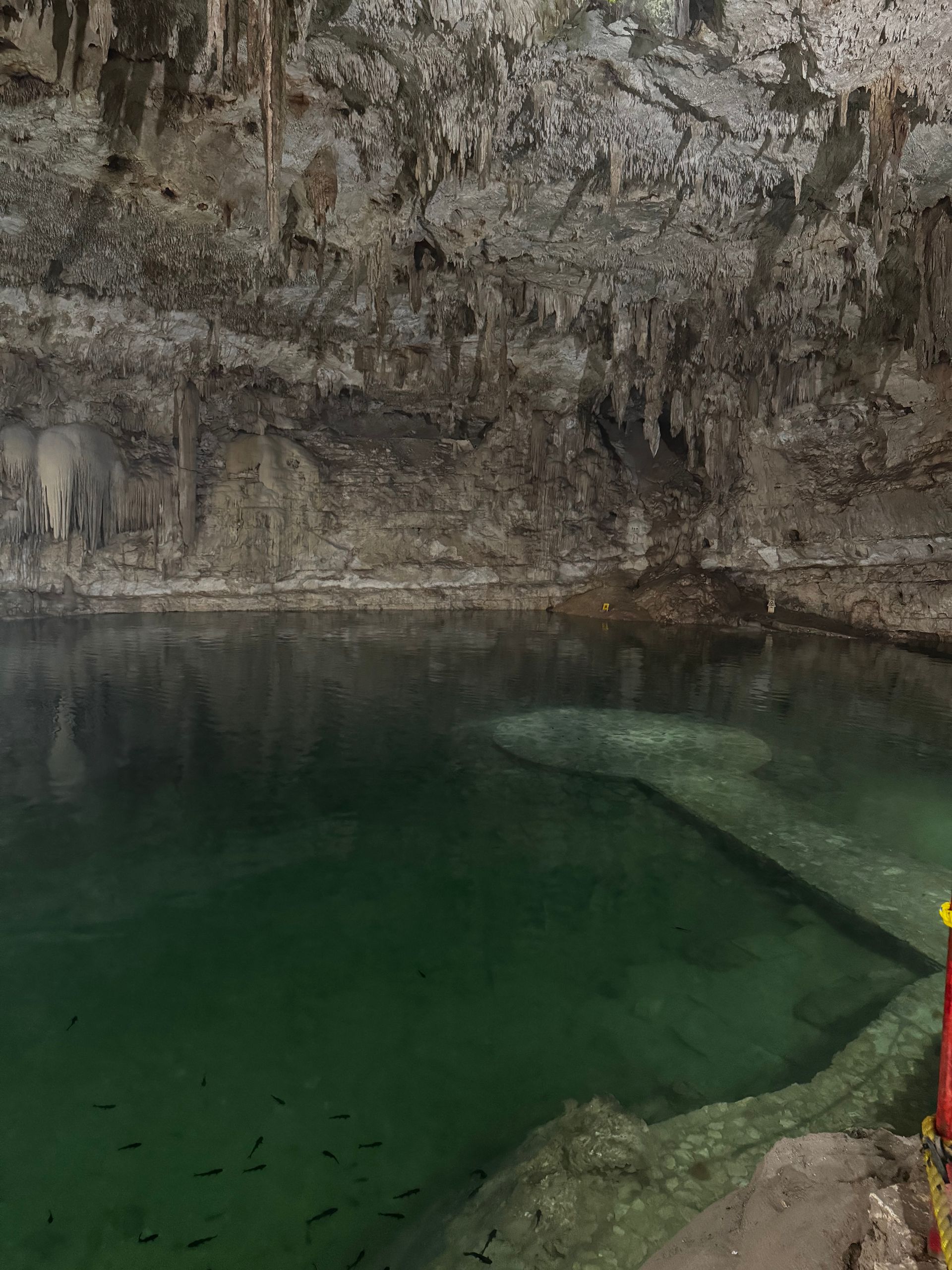 Dark cave with a turquoise pool; stalactites hang from the ceiling. A concrete walkway leads into the water.