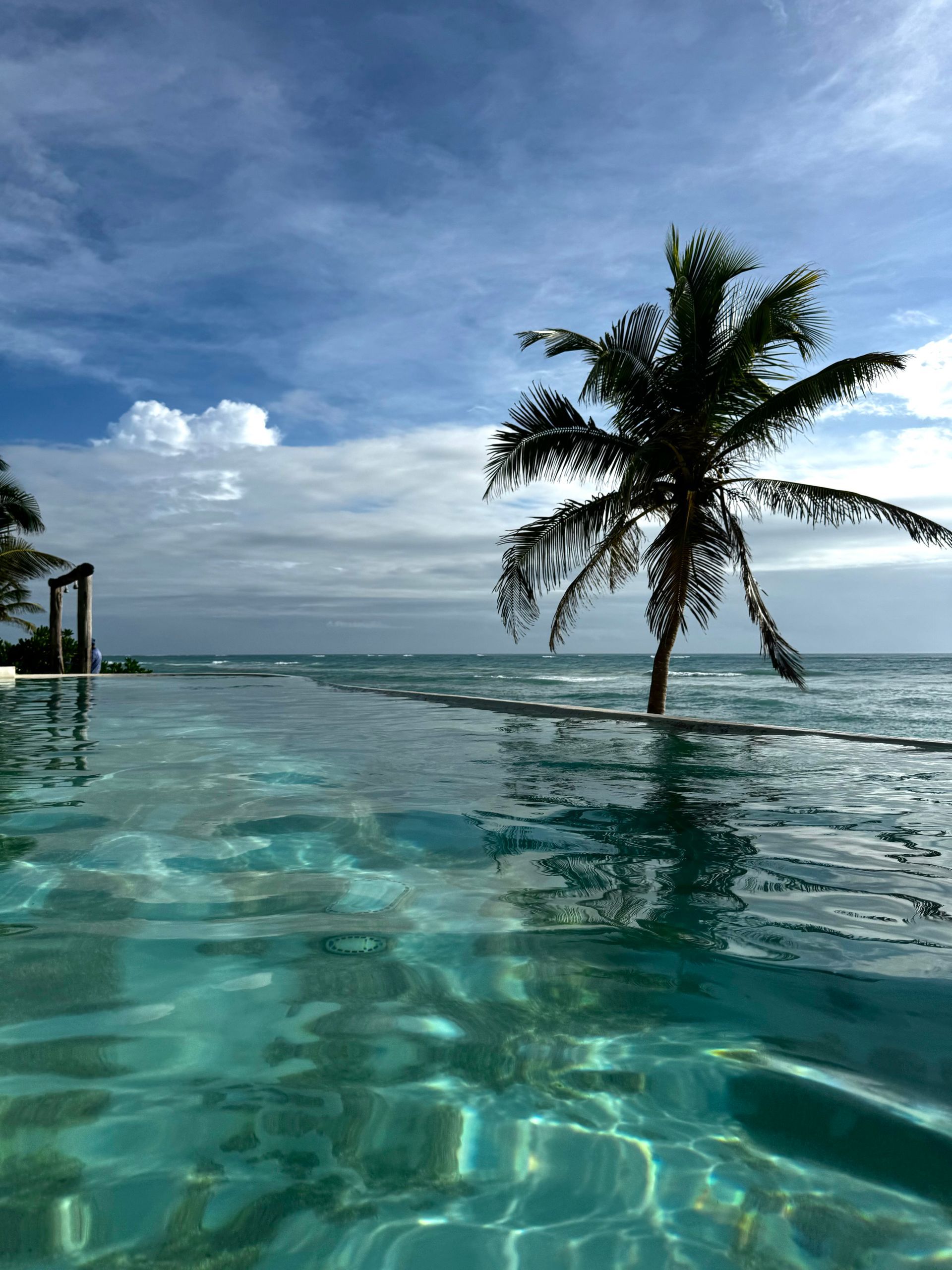 A swimming pool with a palm tree in the background at Papaya Playa Beach Club in Tulum.