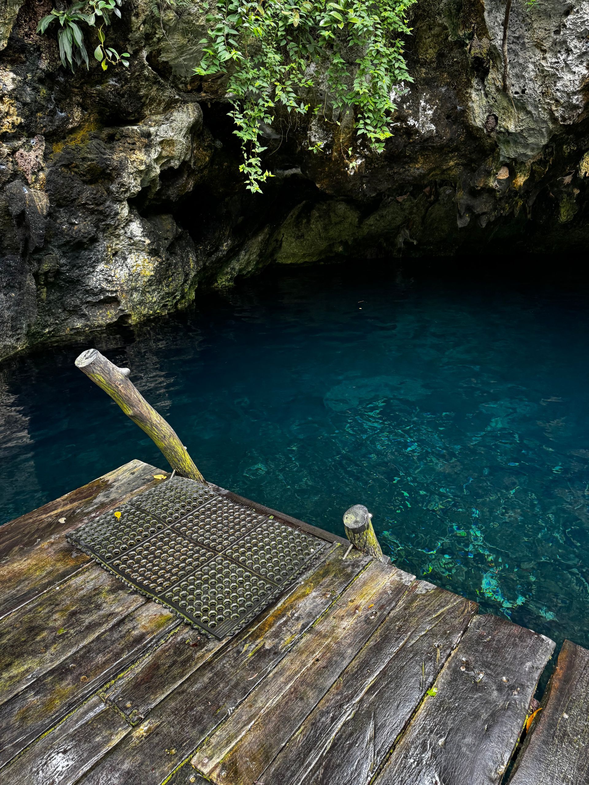A wooden dock leading into Gran Cenote in Tulum, Mexico.