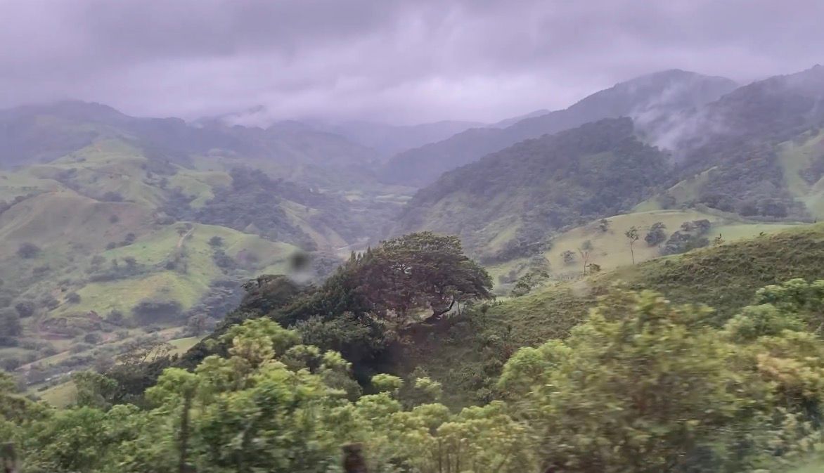 Hilly landscape under overcast sky, green trees in foreground, mountains fading into the distance.