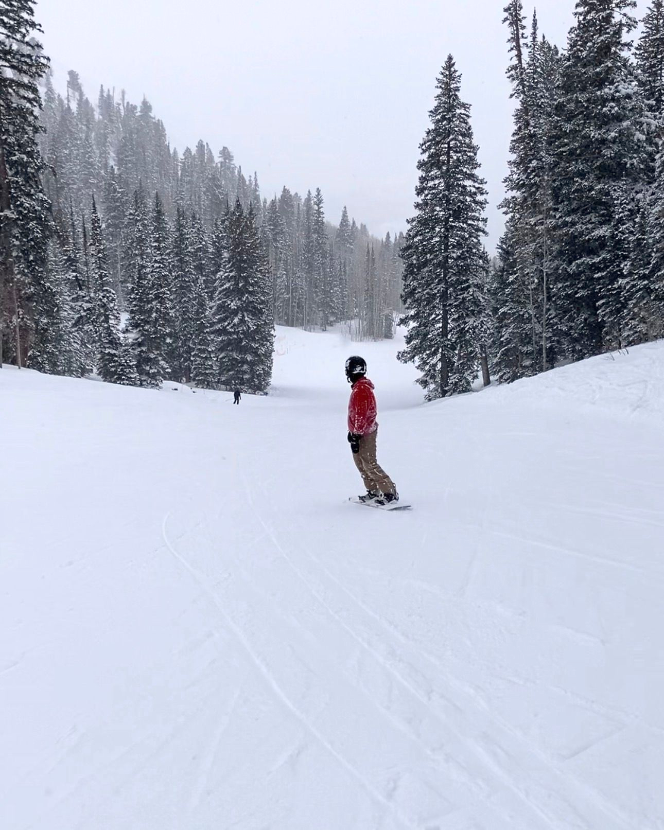 Snowboarder on a snowy slope, wearing a red jacket, surrounded by snow-covered pine trees.