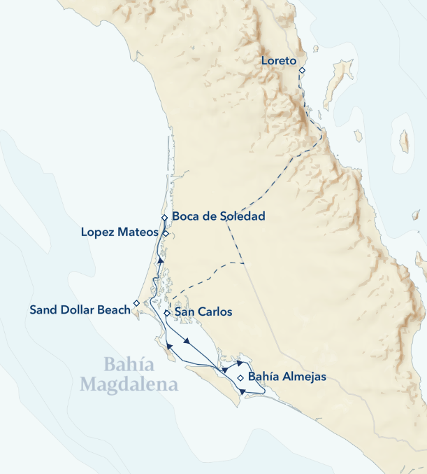 A map showing the route of Lindblad's Observing the Whales of Magdalena Bay Expedition cruise.