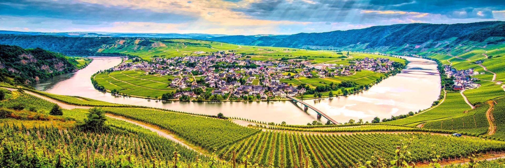 Panoramic view of the Moselle Valley and the Moselle River winding through a town and vineyards in Germany.