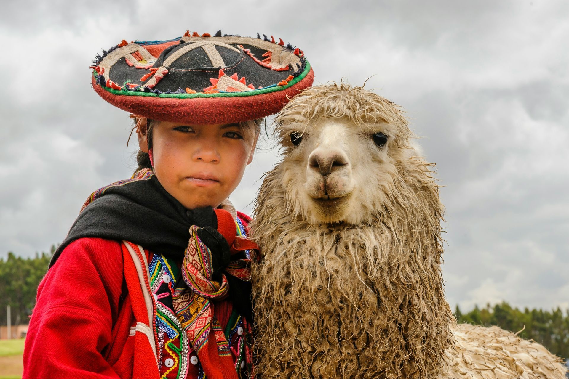 A young girl wearing a hat is standing next to a llama in Peru.