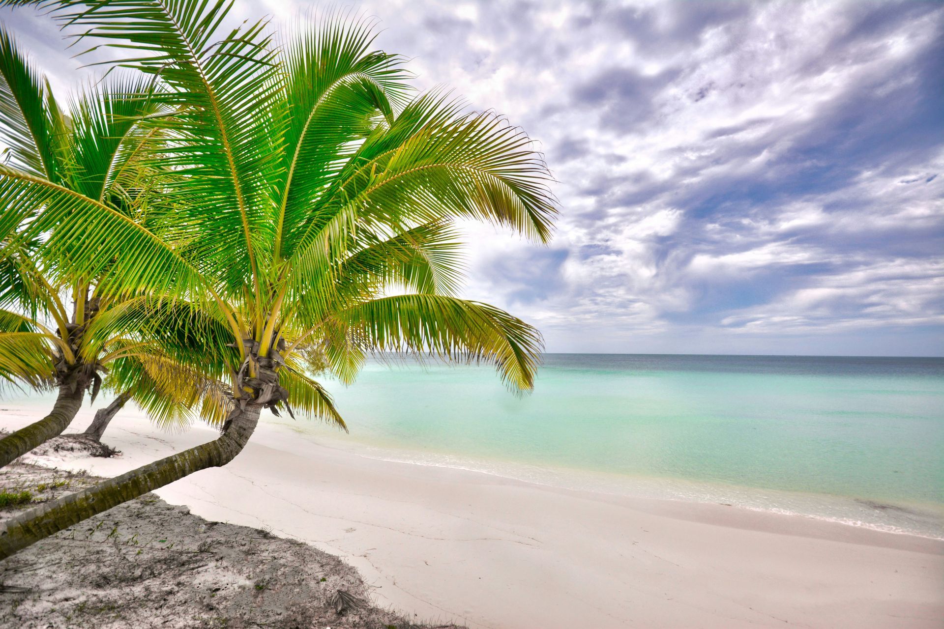Palm trees lean over a white sand beach, turquoise water in Koh Rong, Cambodia.