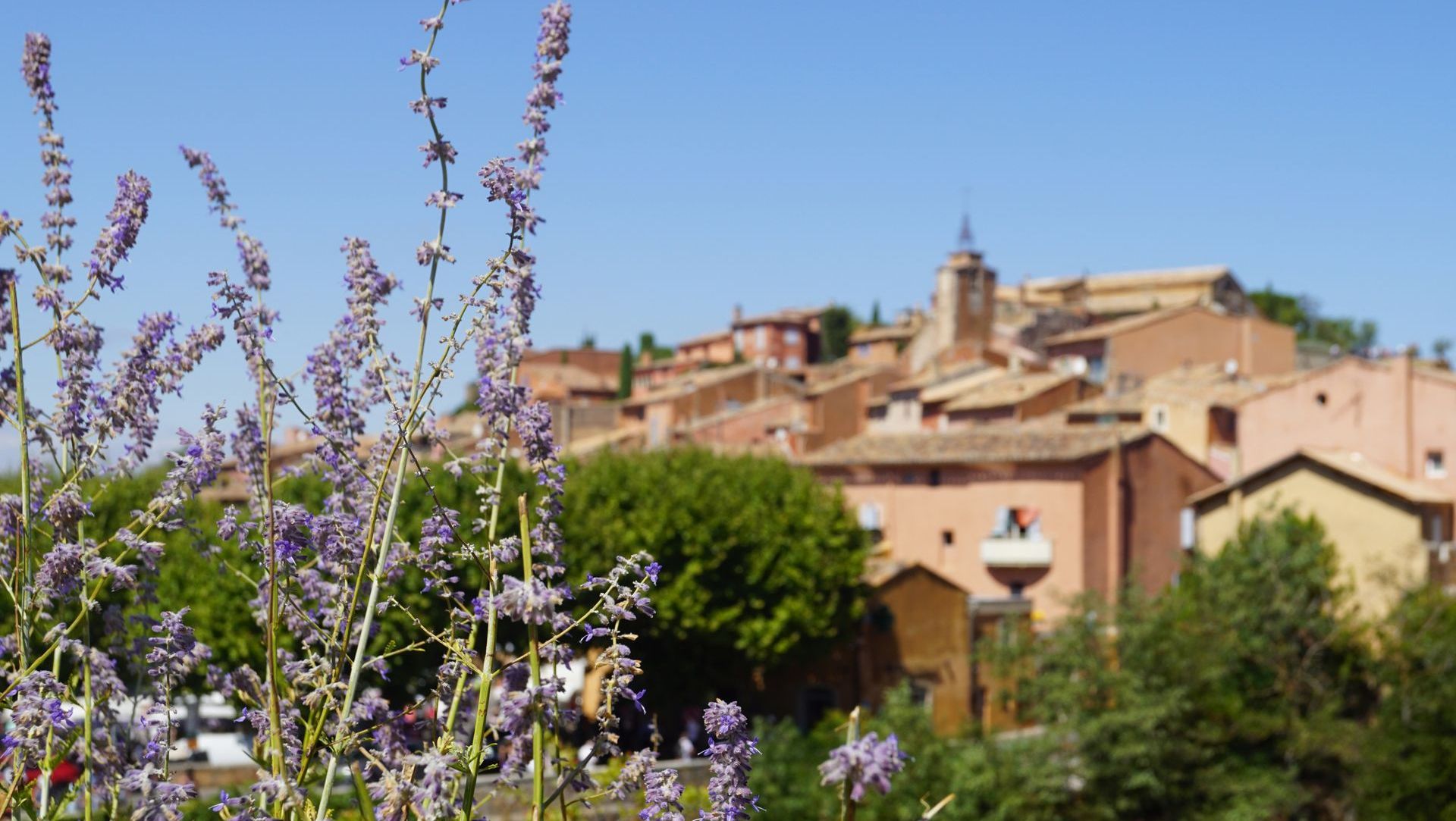 A blurry picture of a village with purple flowers in the foreground in Provence, France.