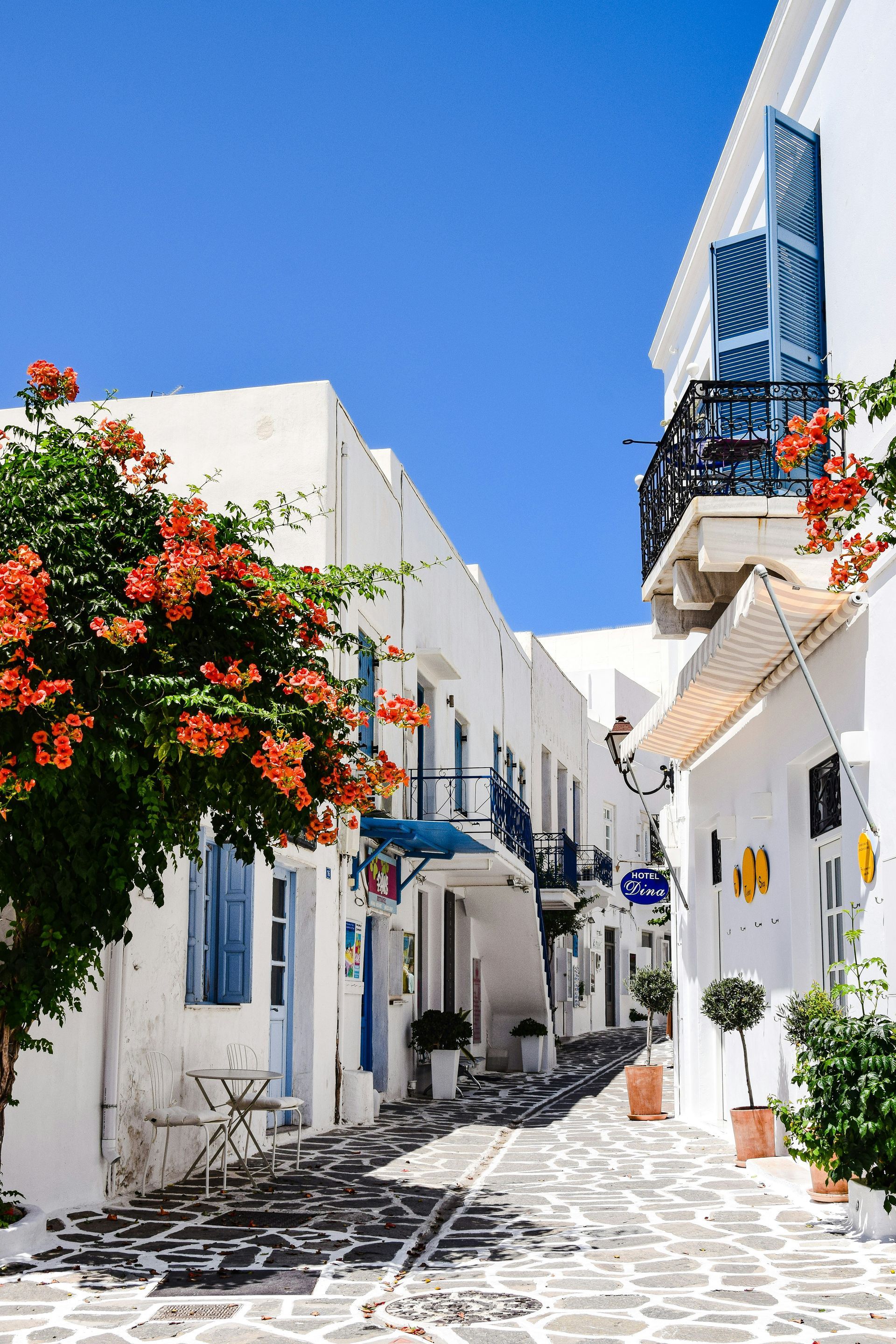 A narrow street lined with white buildings and flowers on a sunny day in Paros, Greece.