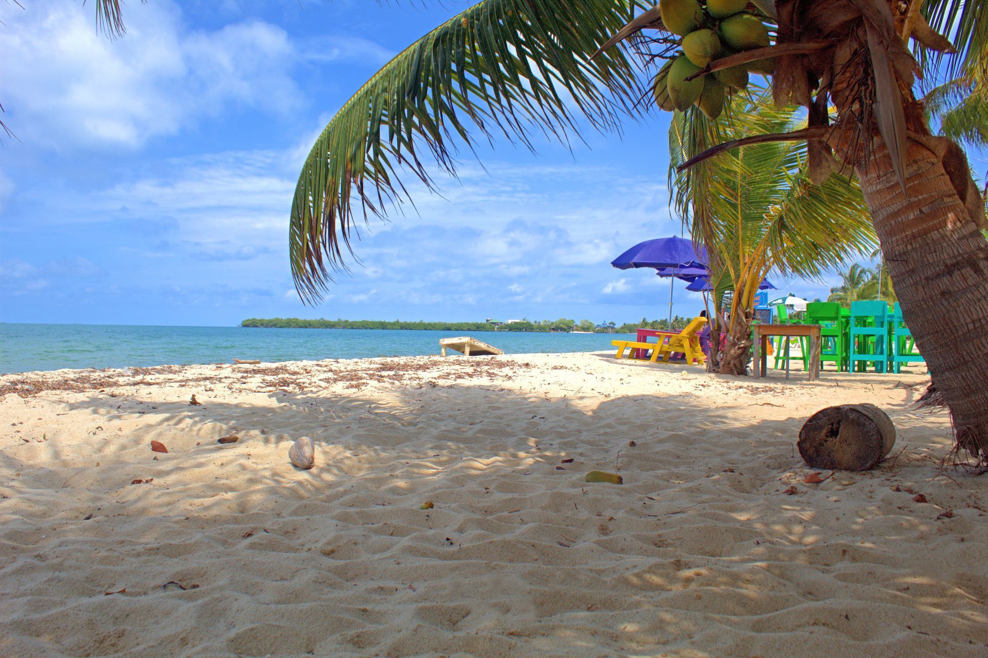 Beach scene with white sand, palm trees, and a blue sky.  Chairs and umbrellas sit near the water in Placencia, Belize.