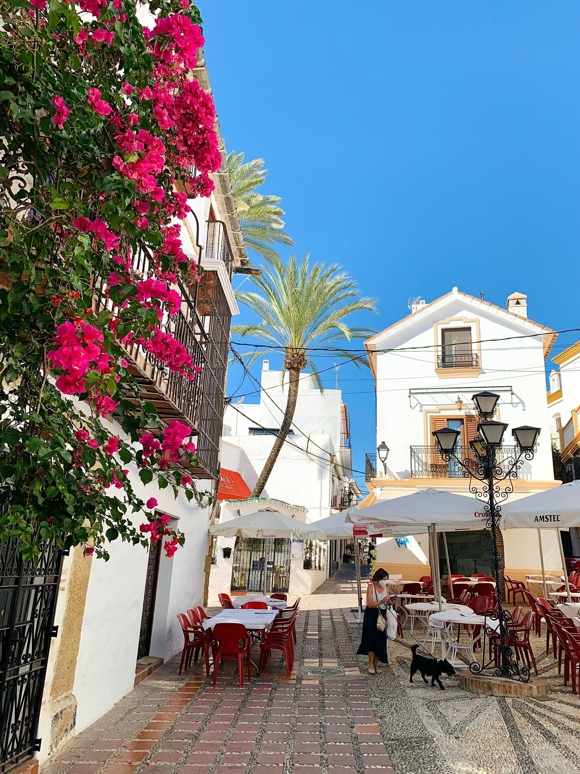Cobblestone street with cafe tables, bougainvillea, white buildings, palm tree, sunny day in Marbella, Spain.