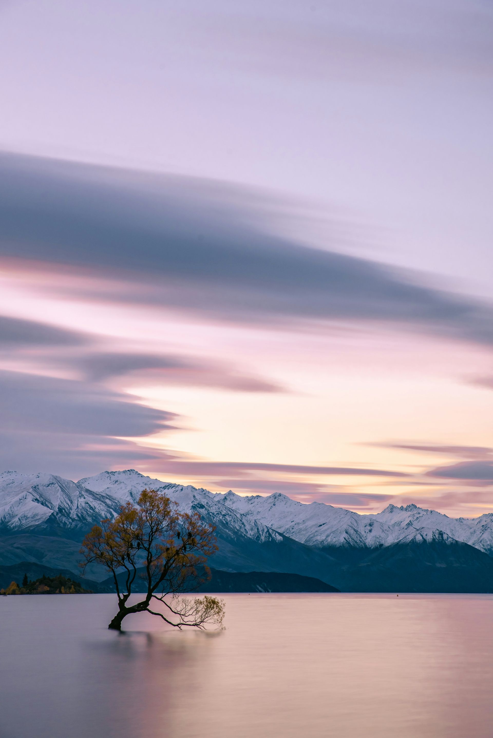 There is a tree in the middle of a lake with mountains in the background in Wānaka, New Zealand.