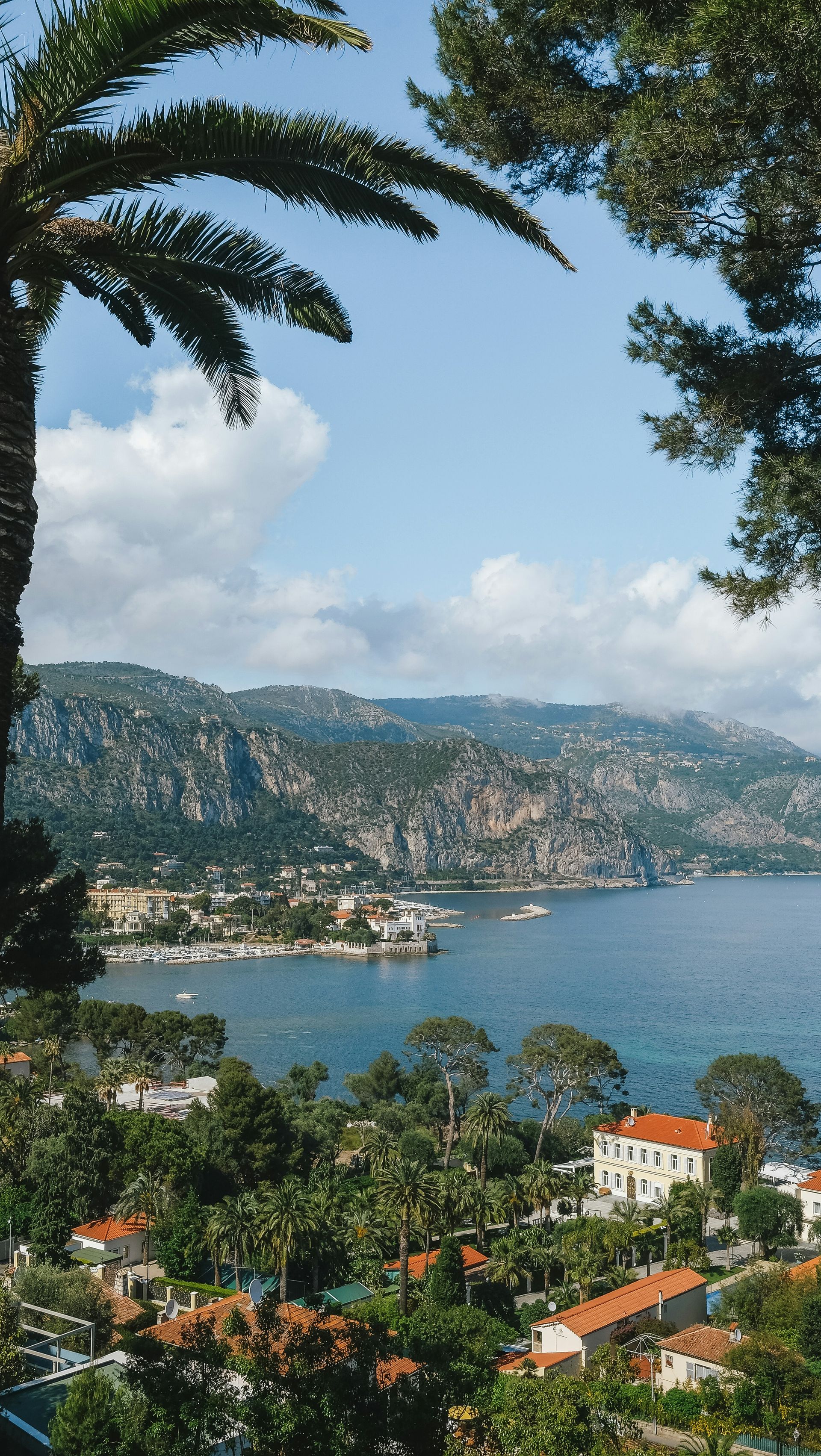 A view of a lake with mountains in the background and a palm tree in the foreground in the French Riviera.