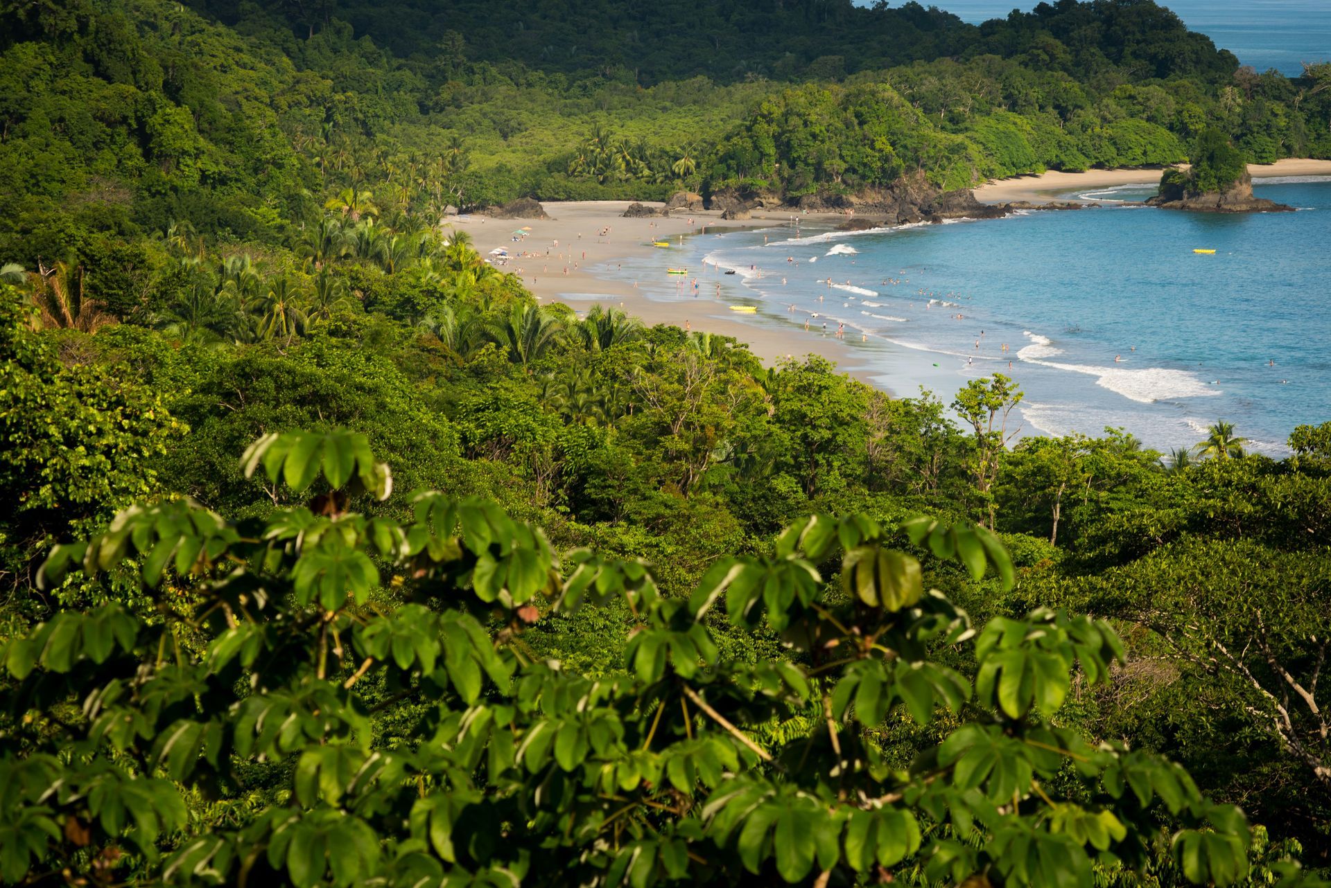 A lush, green forest overlooks a sandy beach and blue ocean in Manuel Antonio, Costa Rica.