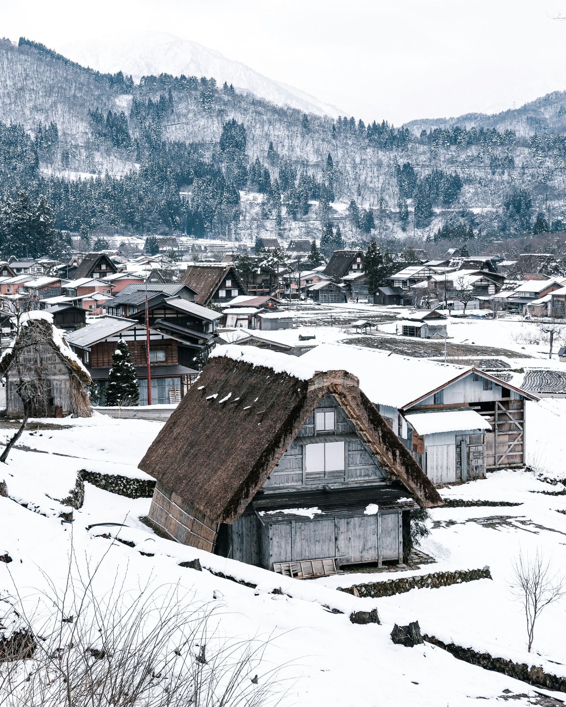 Snow-covered village of Shirakawa with traditional thatched-roof houses and a snow-covered mountain.