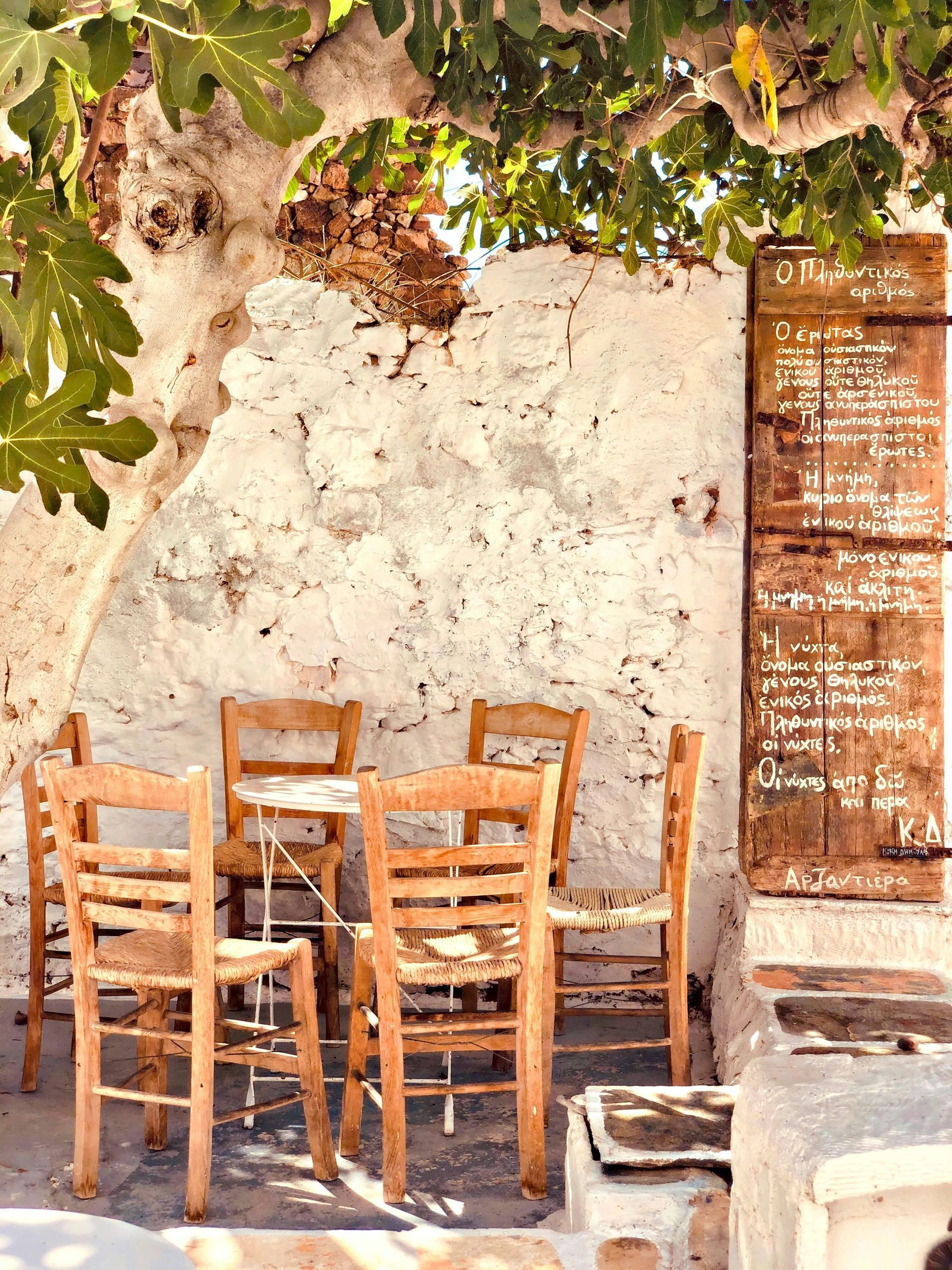 A table and chairs are sitting under a tree in front of a white wall in Skopelos, Greece.