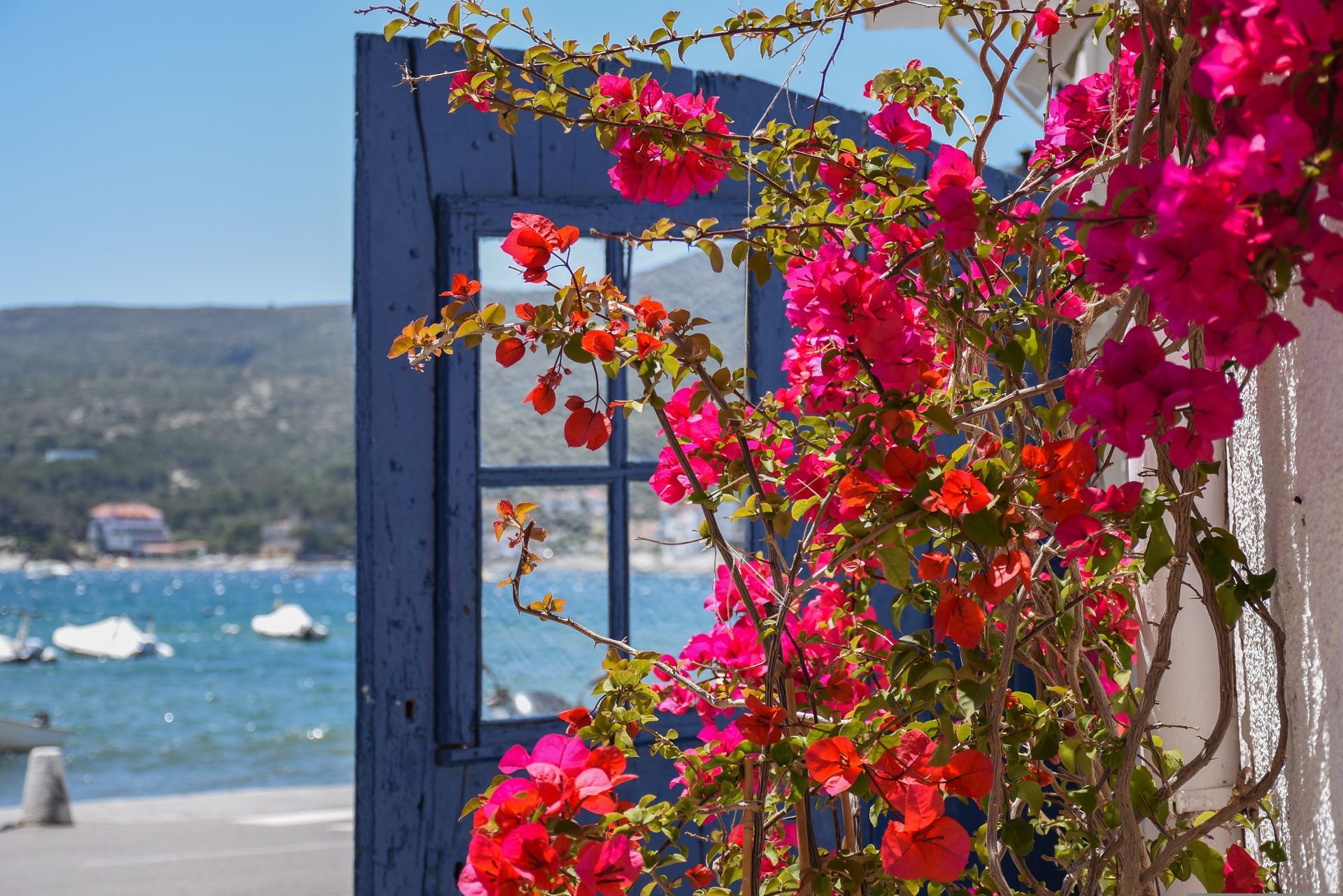 A blue door surrounded by pink flowers with a view of the ocean on Costa Brava, Spain.