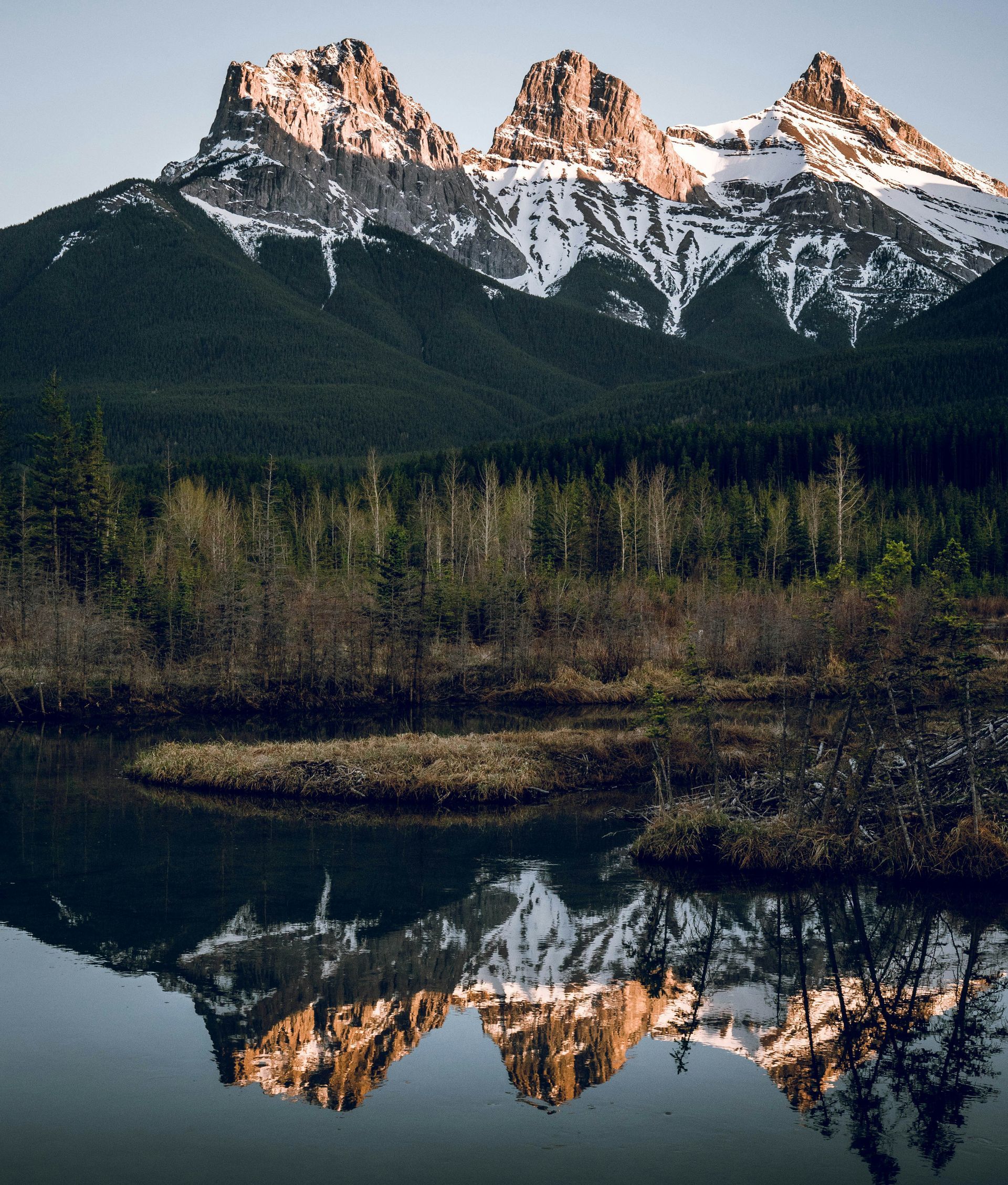Three Sisters mountains reflected in a still lake, with evergreen forest in between in Canmore, Canada.