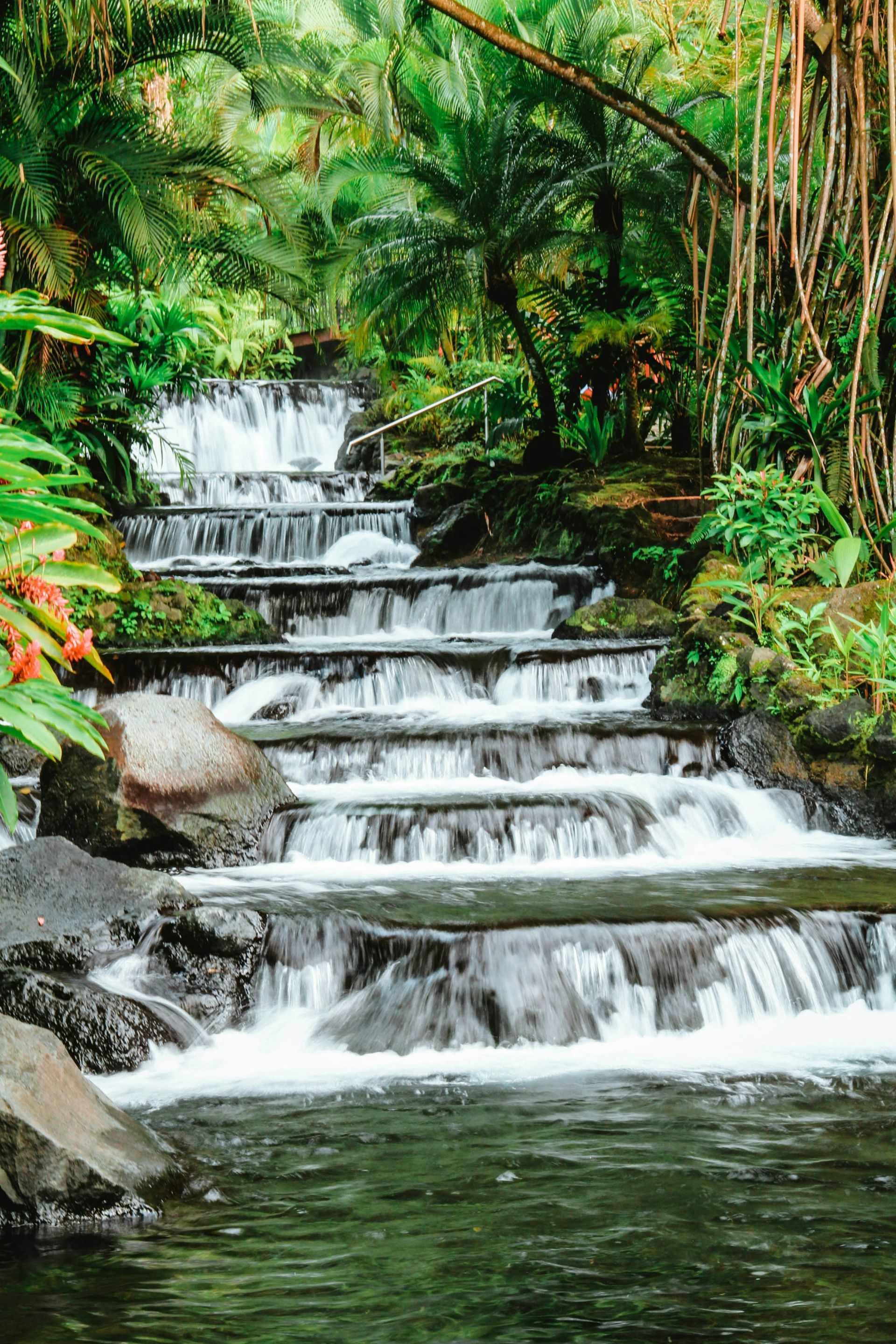 A tiered waterfall cascades down mossy rocks in a lush, green rainforest setting at the Tabacon Hot Springs, Costa Rica.