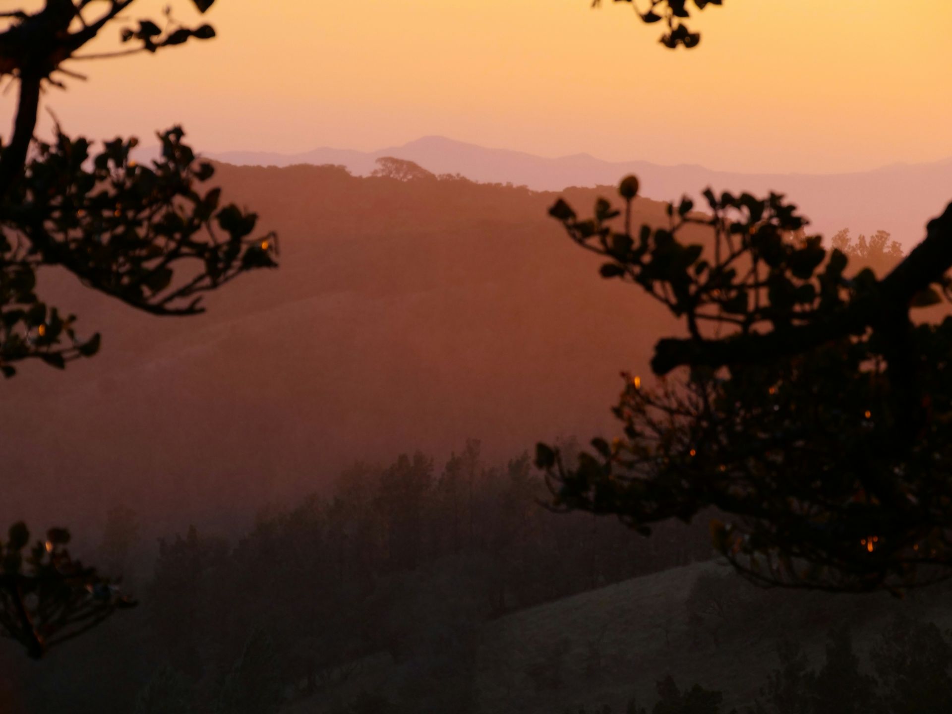 Warm orange and purple sunset over rolling hills in the Monteverde Cloud Forest, Costa Rica.