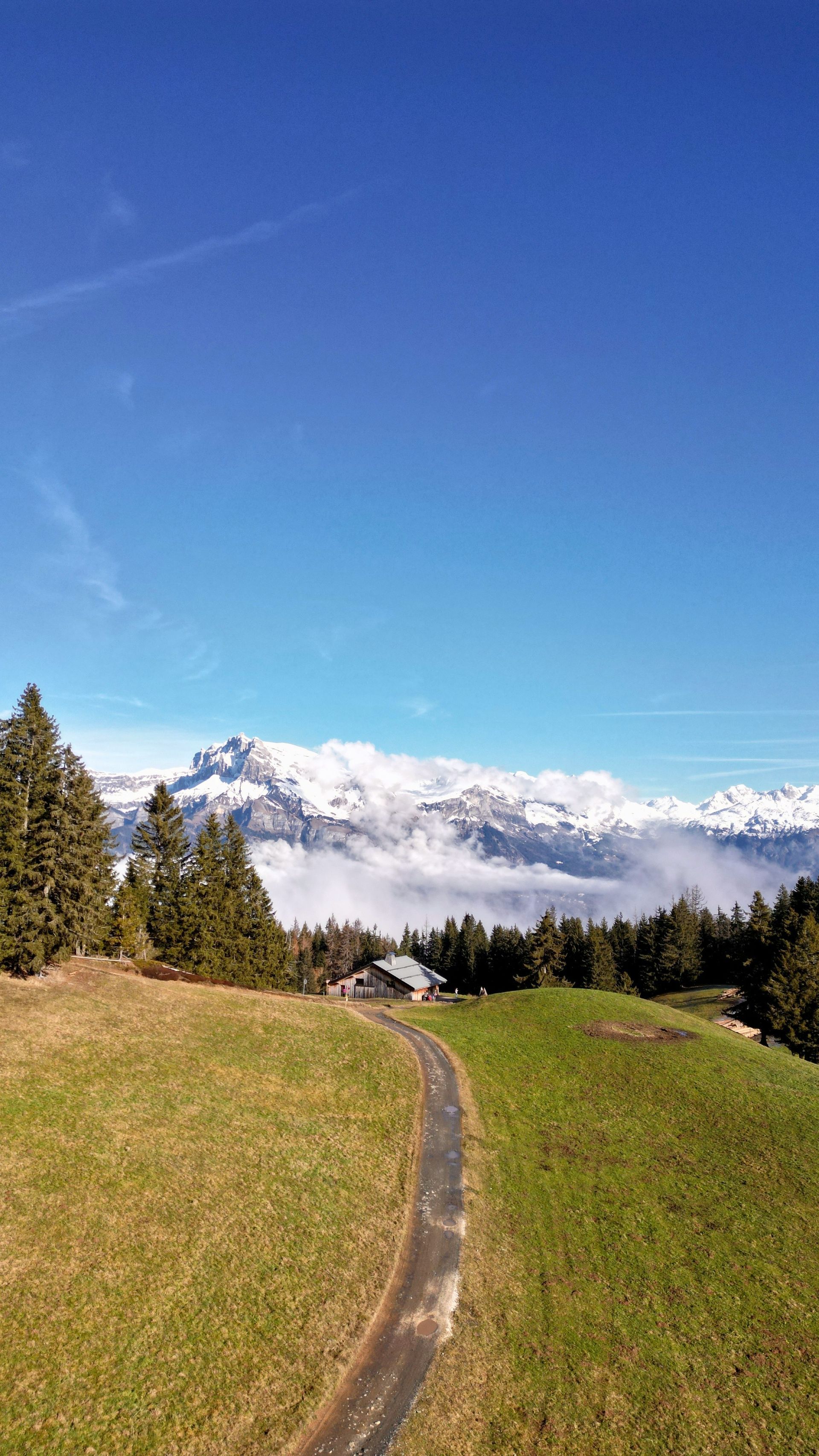 A road going through a grassy field with the French Alps in the background in Megève, France.