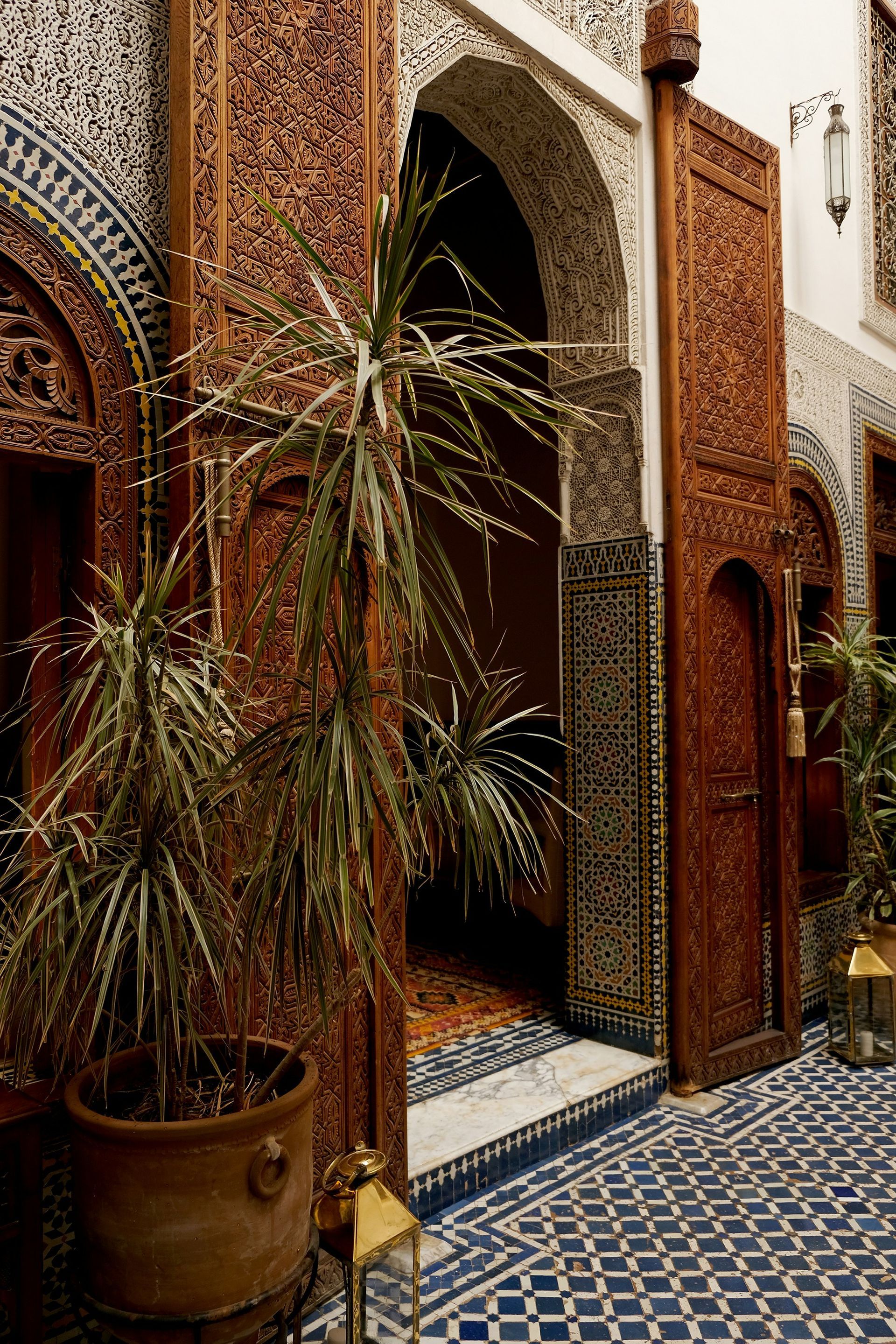 A potted plant is sitting in front of a wooden door in Fes, Morocco.