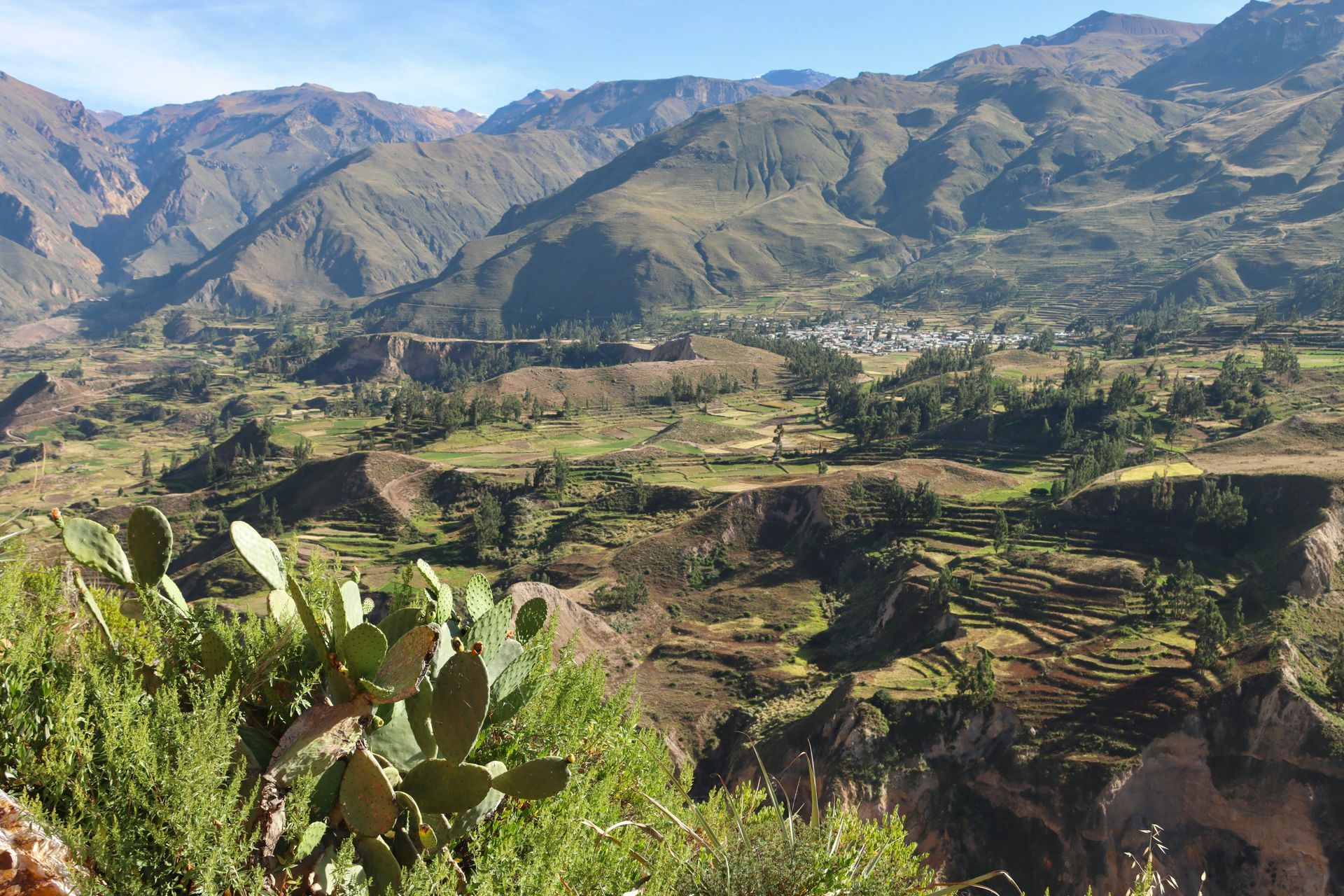 A view of a valley with mountains in the background in the Colca Canyon, Peru.