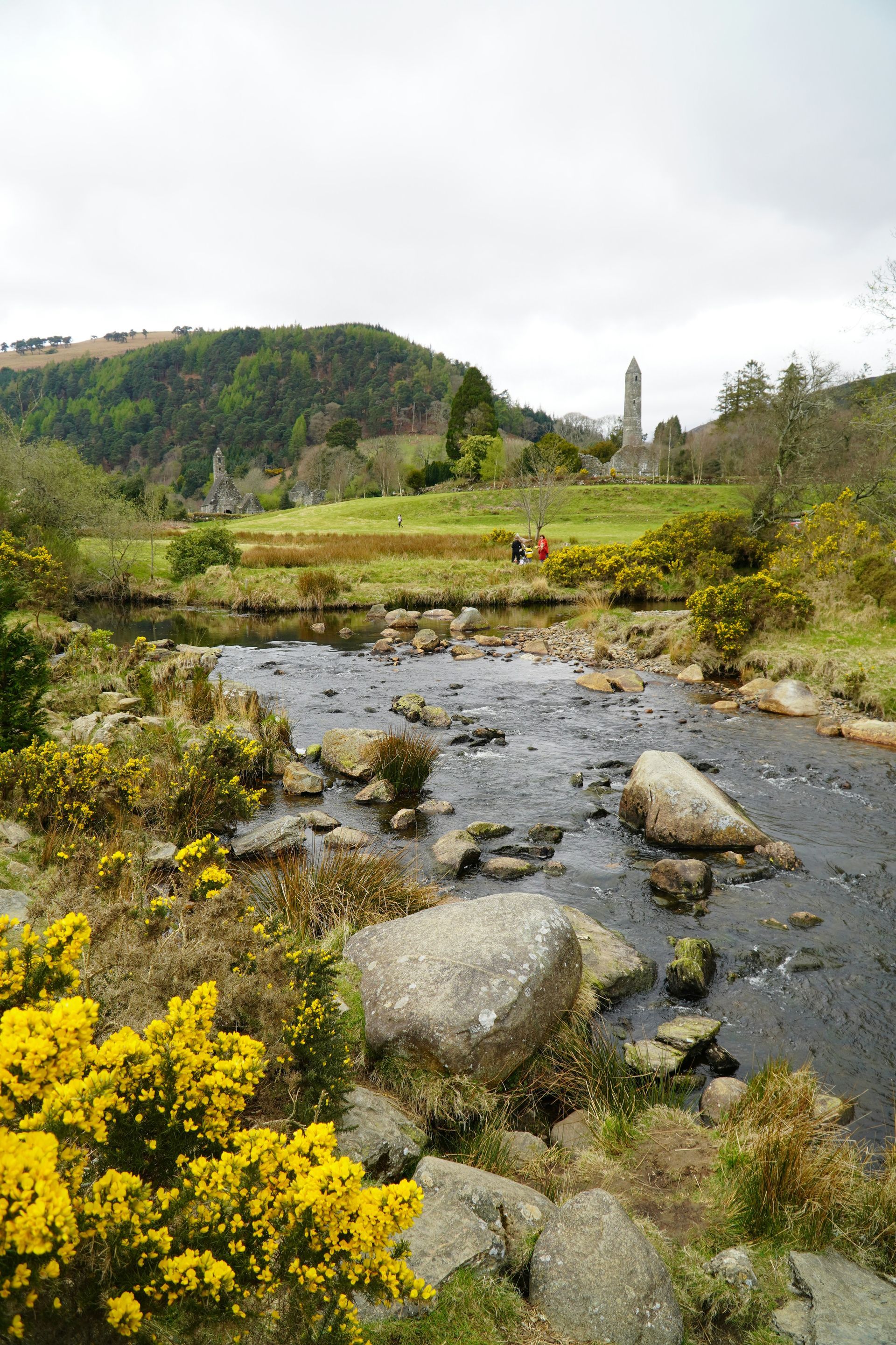 River flowing through a green valley with flowers, an ancient tower and hills in the background in Glendalough, Ireland.