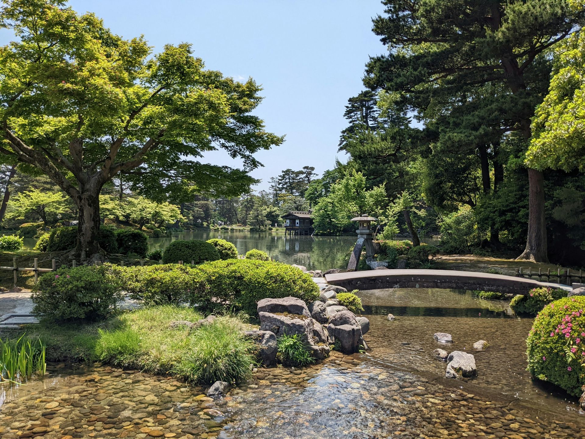 Japanese garden with pond, small bridge, lush greenery in Kanazawa.