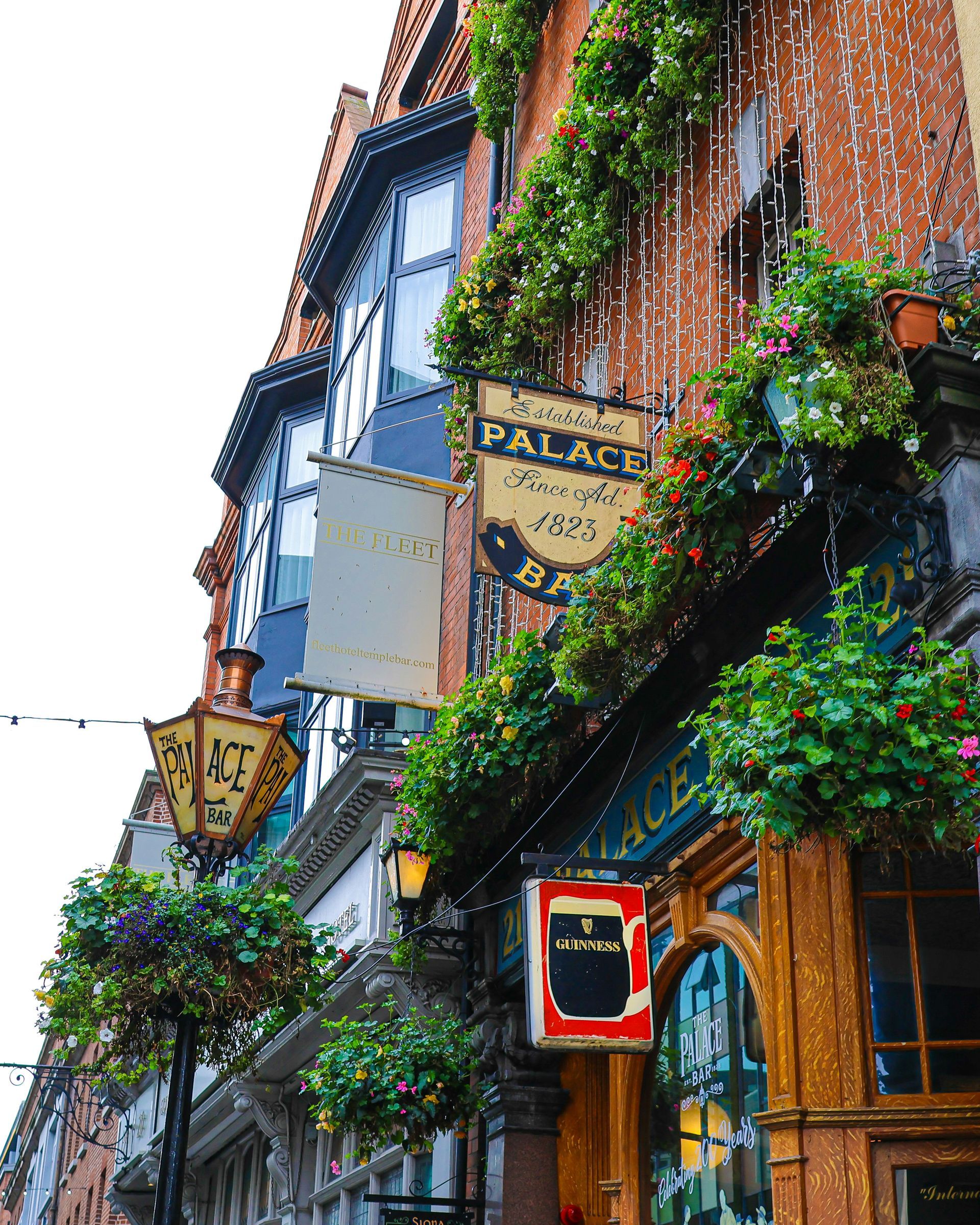 Exterior of the Palace Bar in Dublin, Ireland; red brick facade, hanging signs, greenery, and Guinness sign.