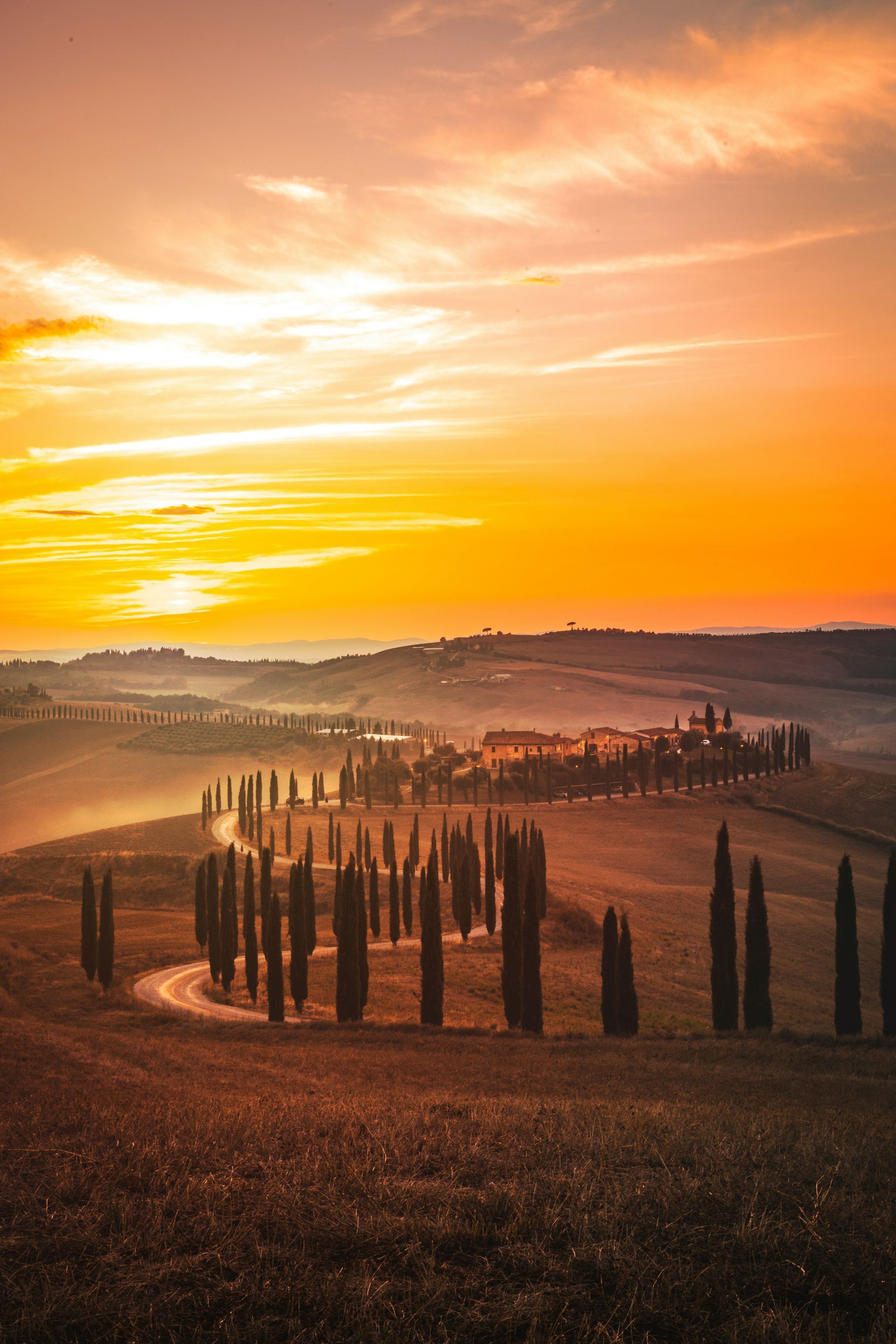 A sunset over a field with trees in the foreground in Asciano, Tuscany.