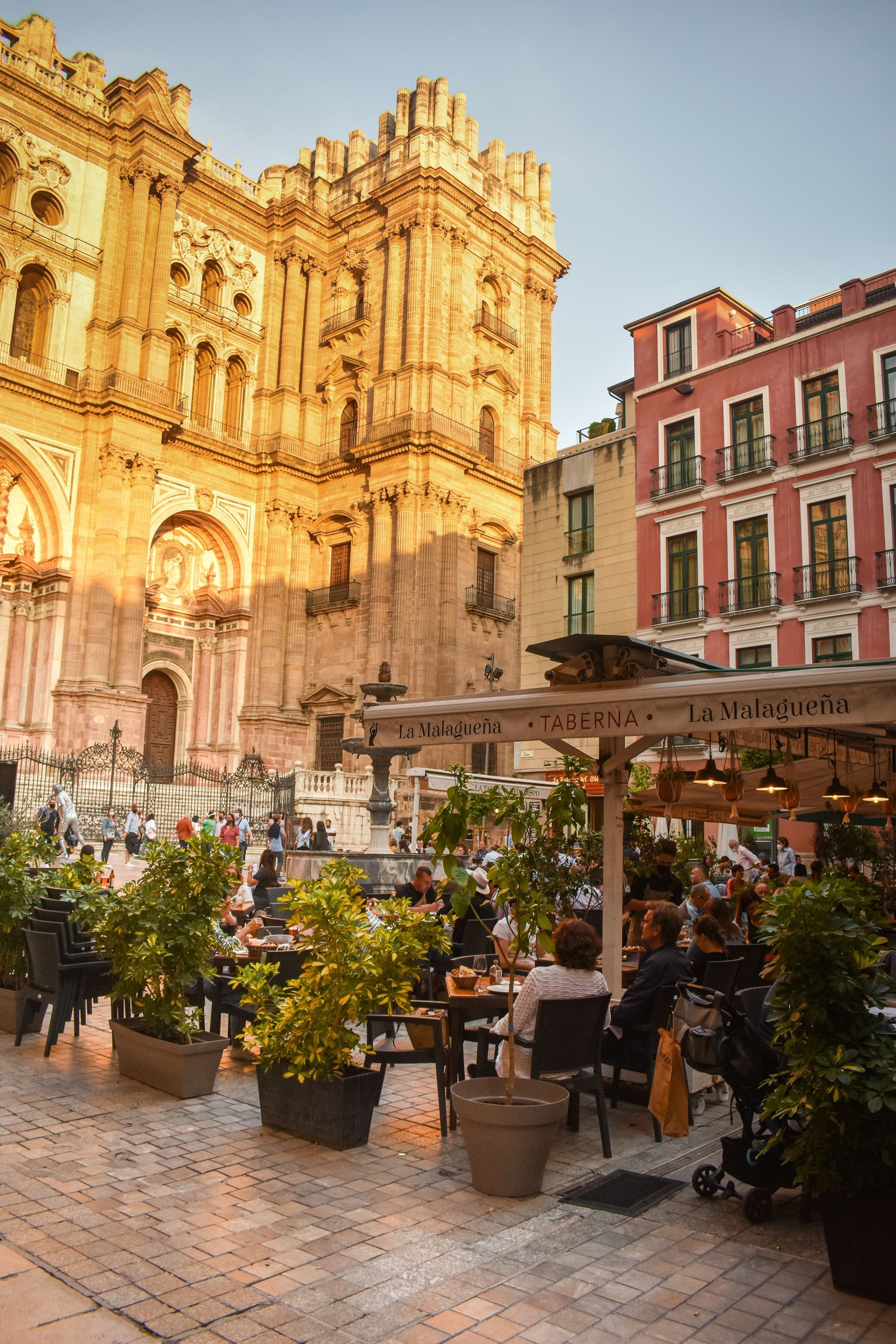 Outdoor cafe with customers, trees, and cathedral in the background, bathed in warm sunlight in Málaga, Spain.