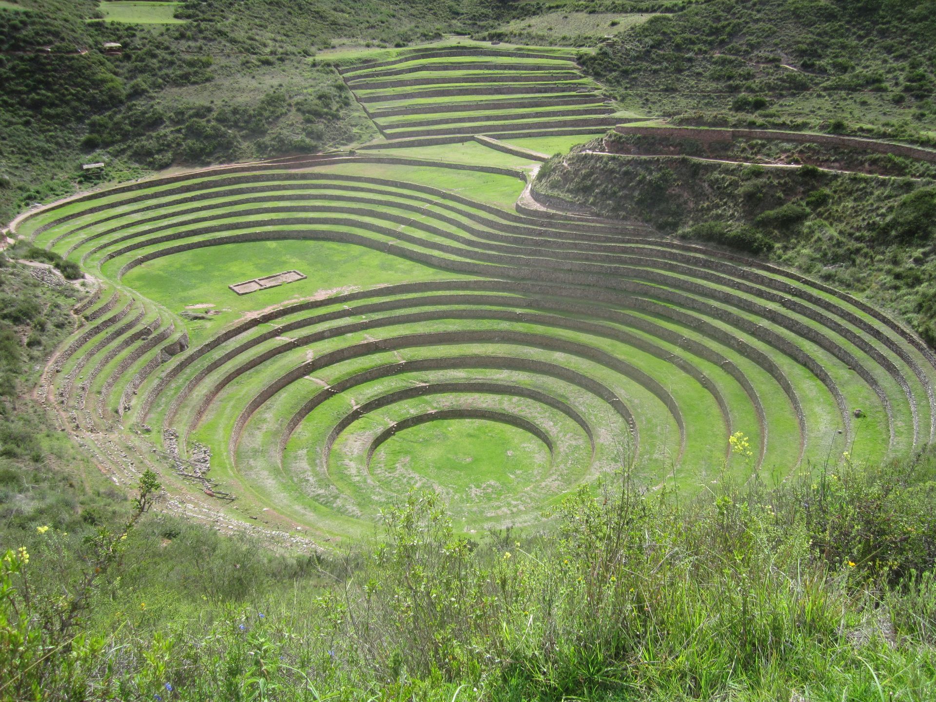 A large green field with a lot of circles in it in the Sacred Valley of Peru.