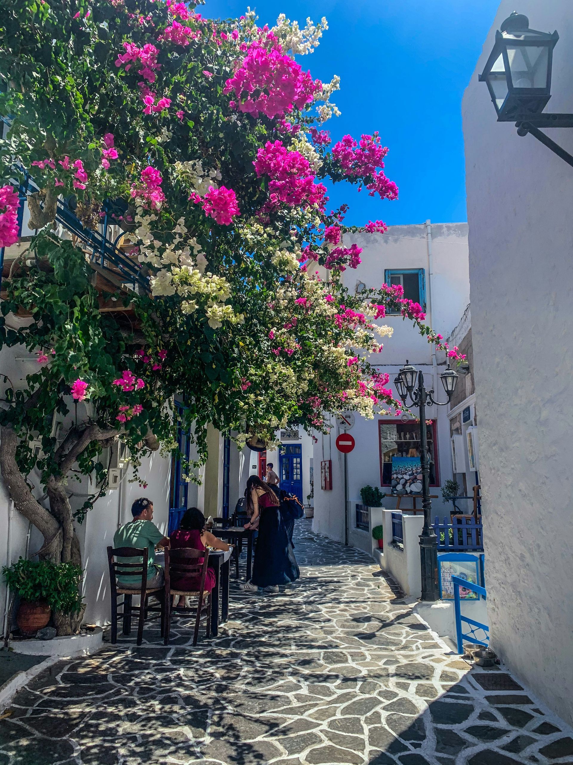 People are sitting at tables under a tree with pink flowers in Milos, Greece.