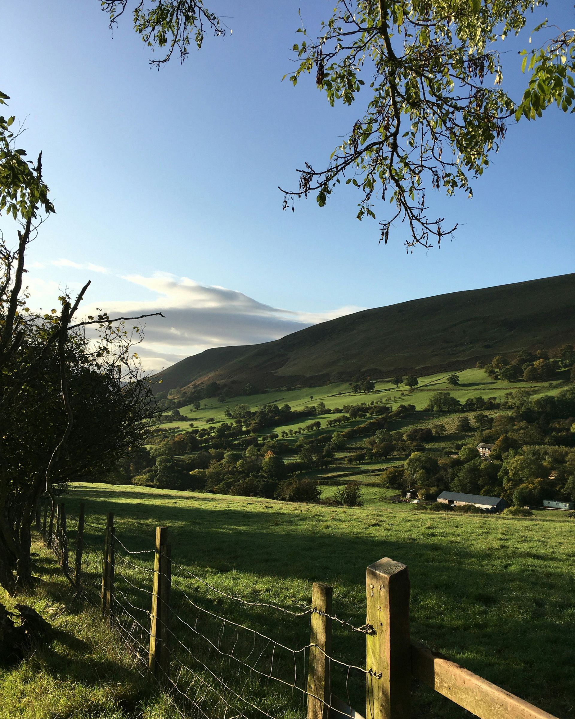 Rolling green hills under a blue sky, viewed through a fence, with a tree branch framing the top right in Wales.
