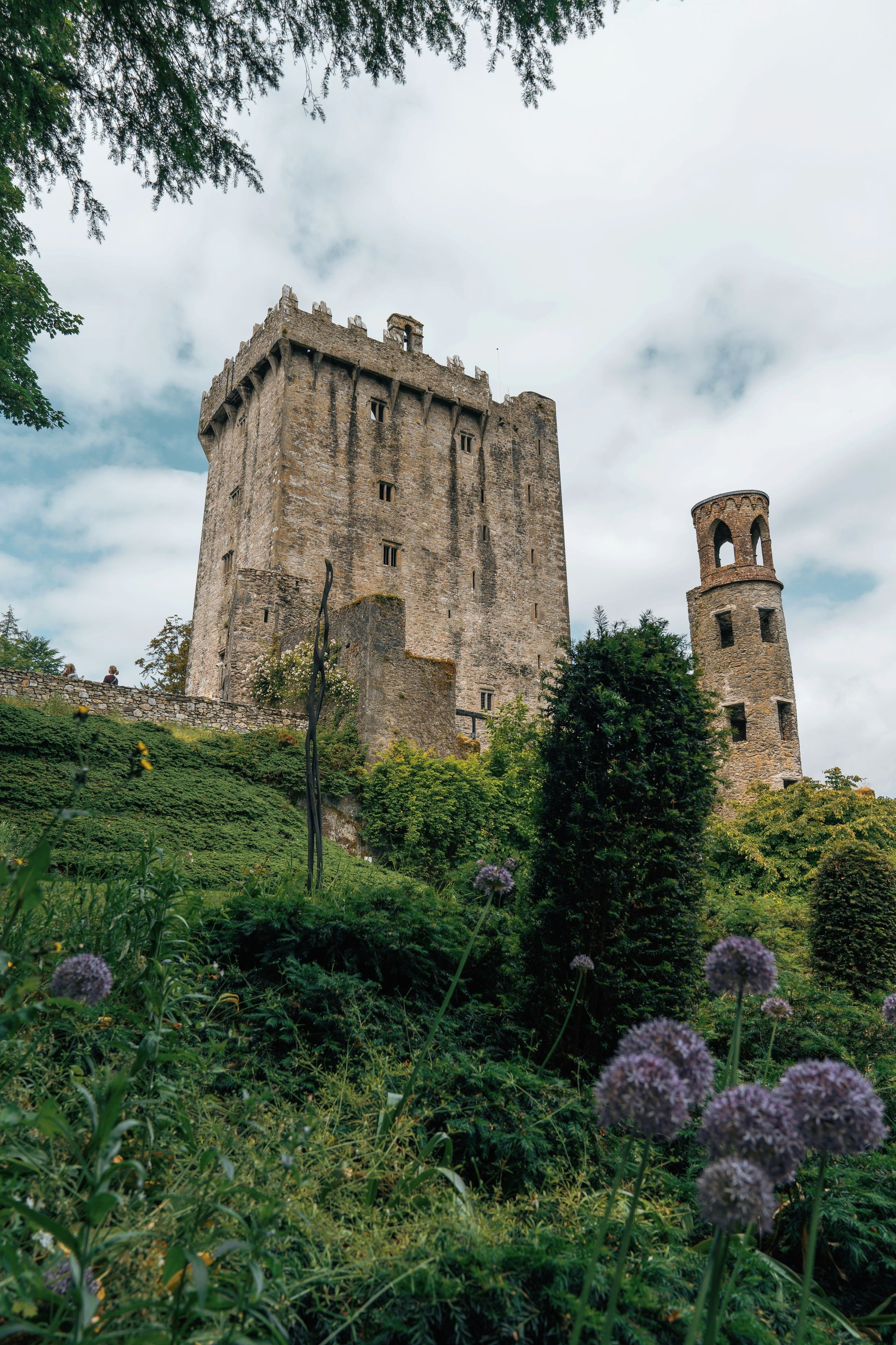 Stone Blarney Castle on a green hill, with a tower and purple flowers against a cloudy sky in Cork, Ireland.