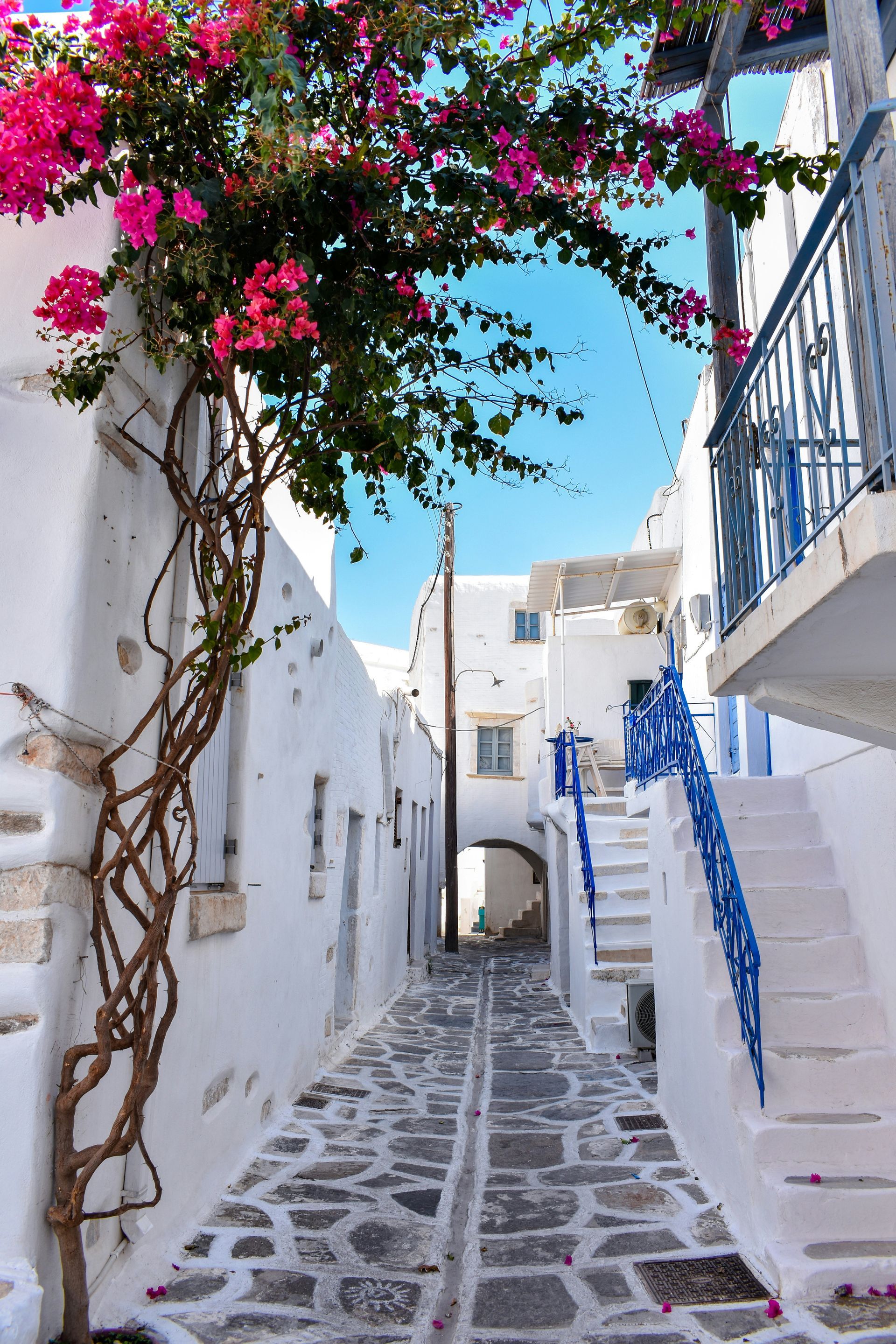 A narrow alleyway between two buildings with pink flowers growing on the side of it in Paros, Greece.