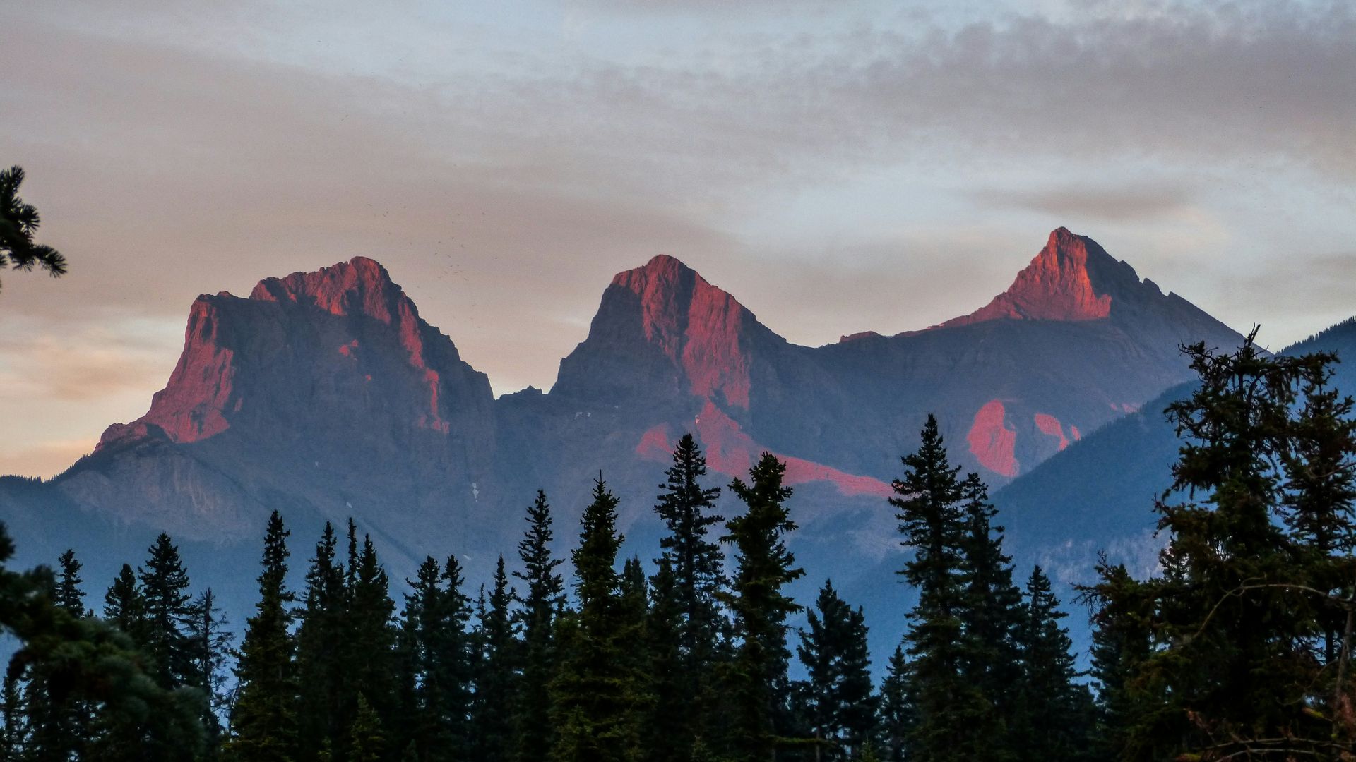 Sunrise illuminates three mountain peaks with a reddish glow above a dark forest in Canmore, Canada.