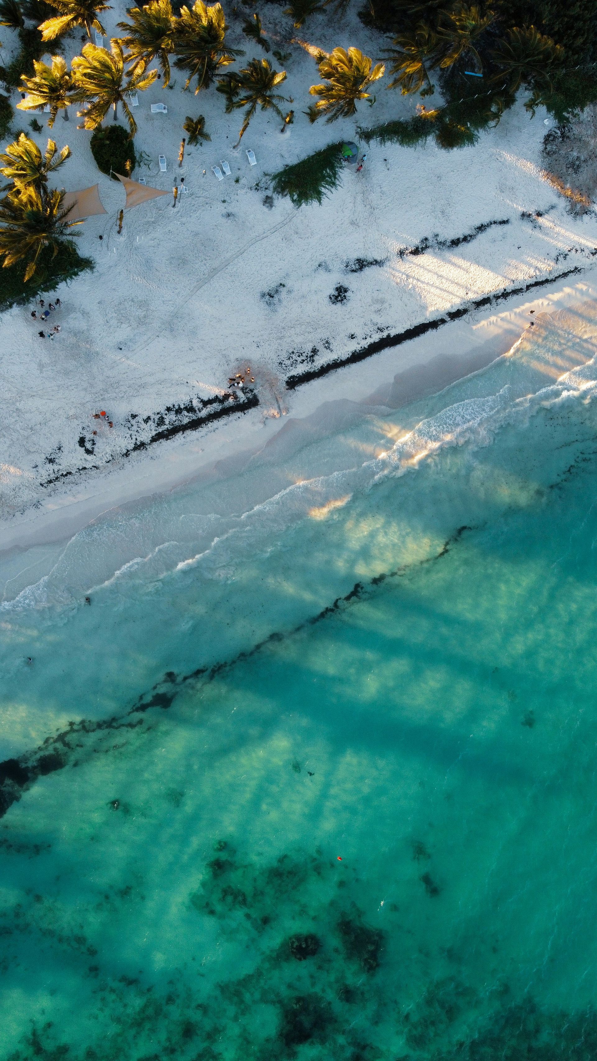Aerial view of a beach with clear turquoise water meeting a sandy shore in Playa del Carmen, Mexico.