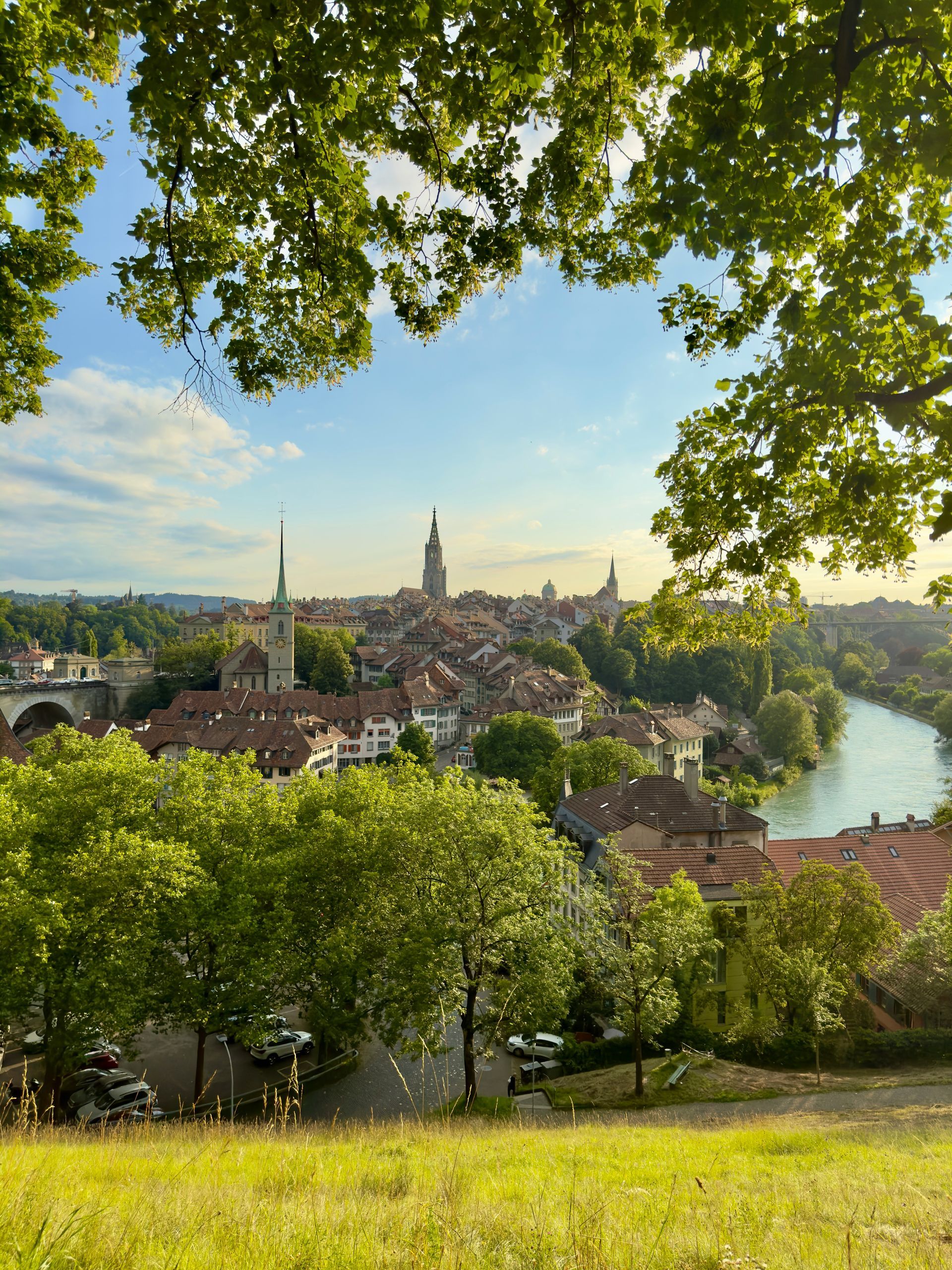 View of Bern, Switzerland, with a river and old buildings framed by trees under a blue sky.