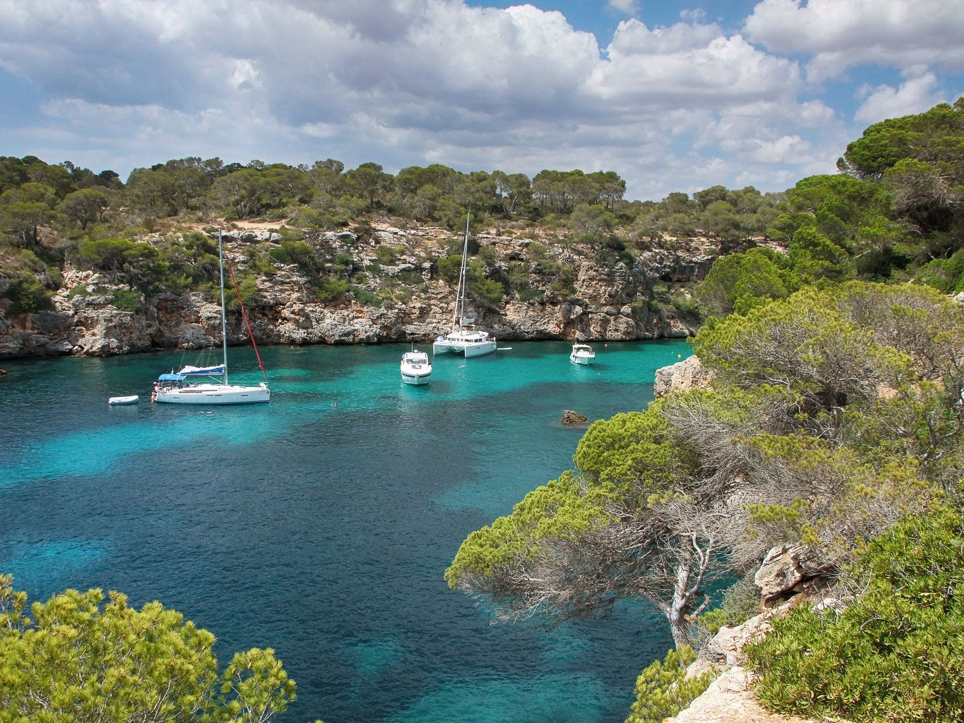 A group of boats are floating on top of a body of water surrounded by trees in Mallorca, Spain.