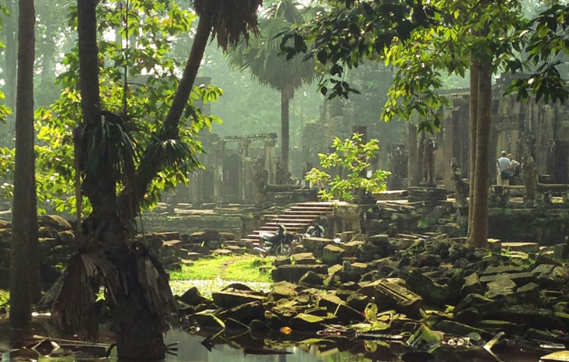 Ancient temple ruins overgrown with trees, steps leading up in Cambodia.