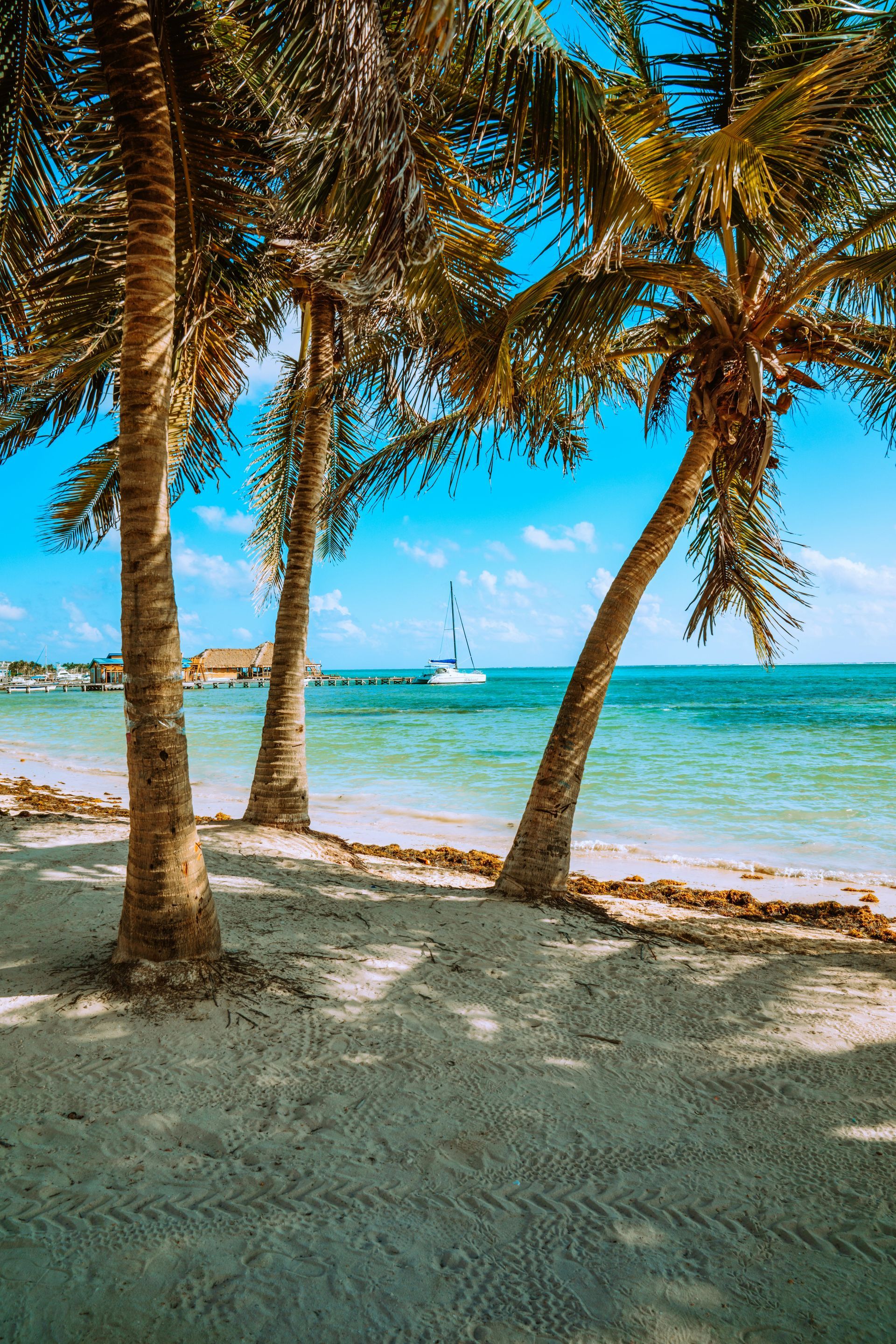 Palm trees on a sandy beach with turquoise water and a boat in the distance in Ambergris Caye, Belize.