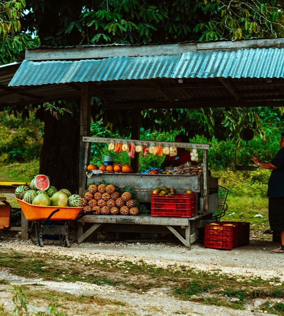 Fruit stand under a corrugated roof in the jungle of Belize.